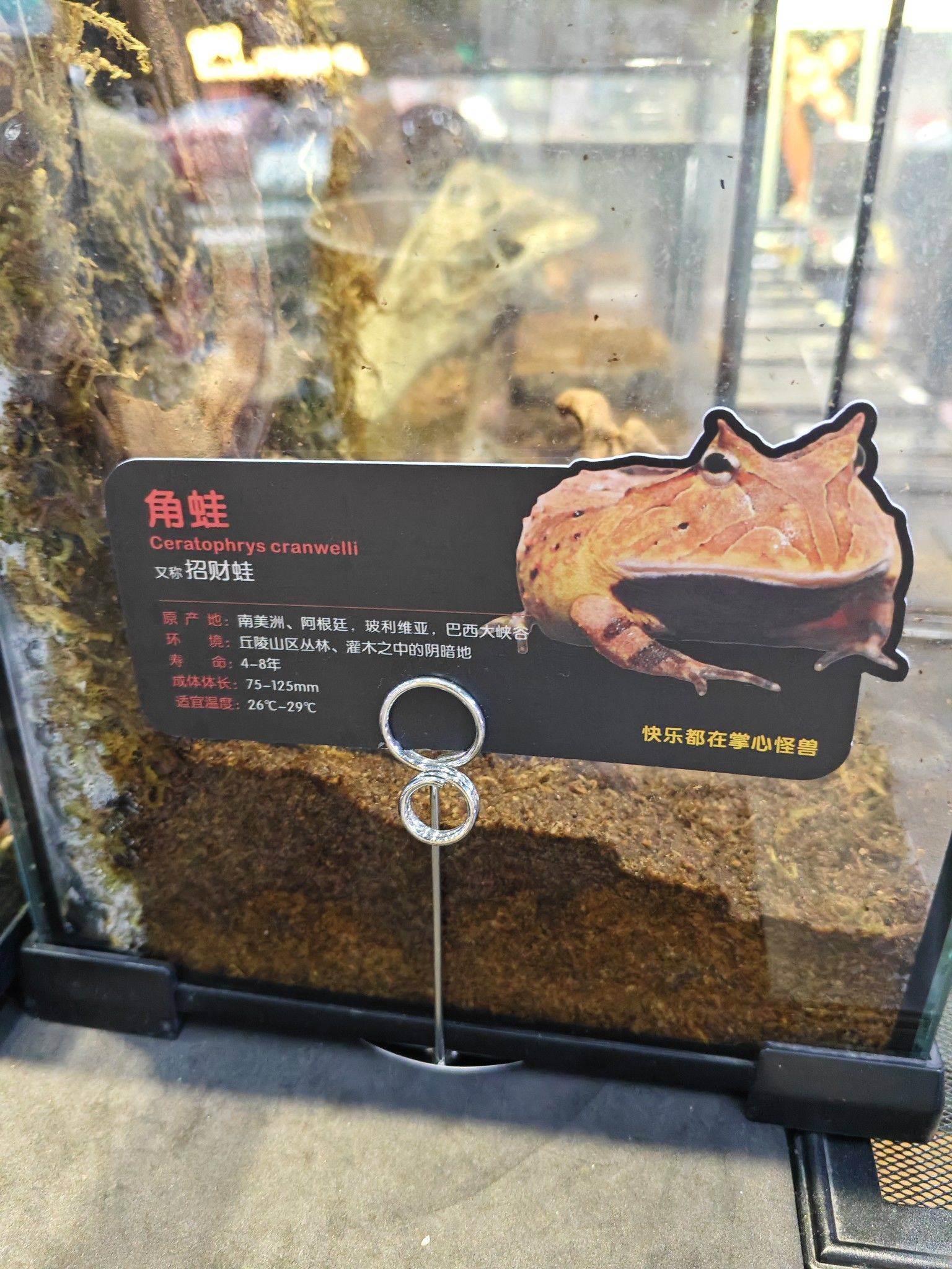 阿杰