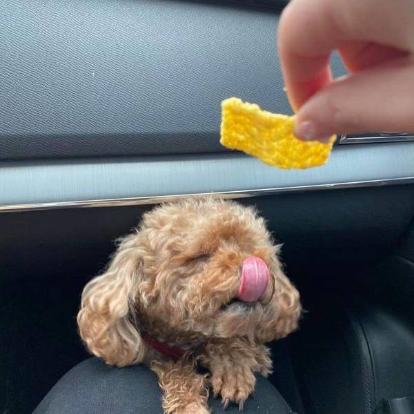 波西米亚铁匠