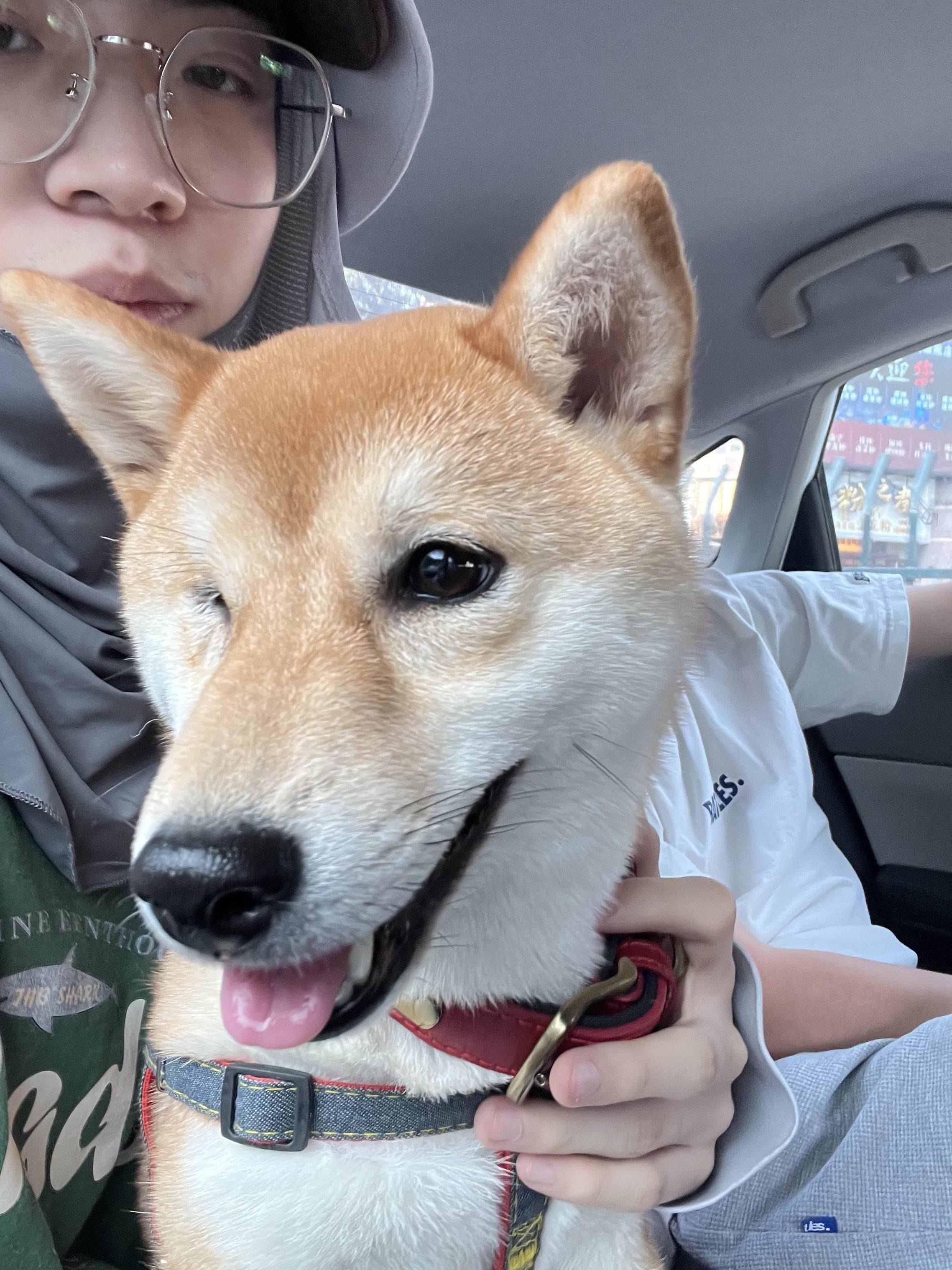 都几点结束
