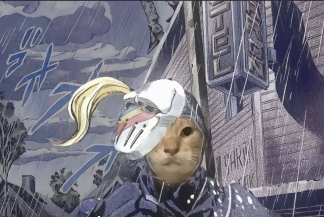 💊彩虹捕手💊