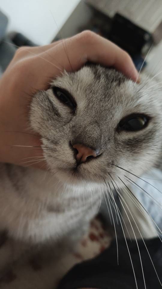 哈哈哈