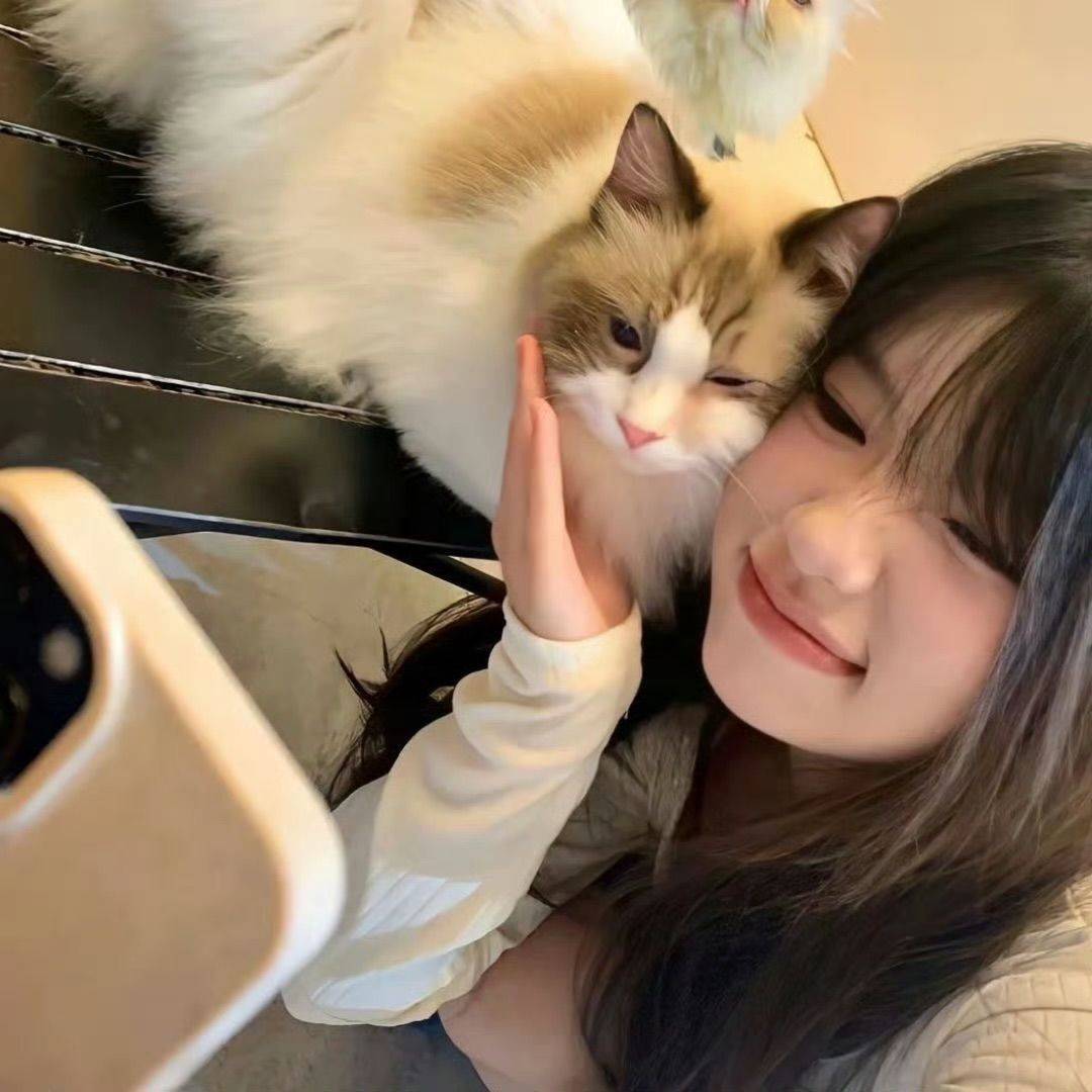 艾蜜莉