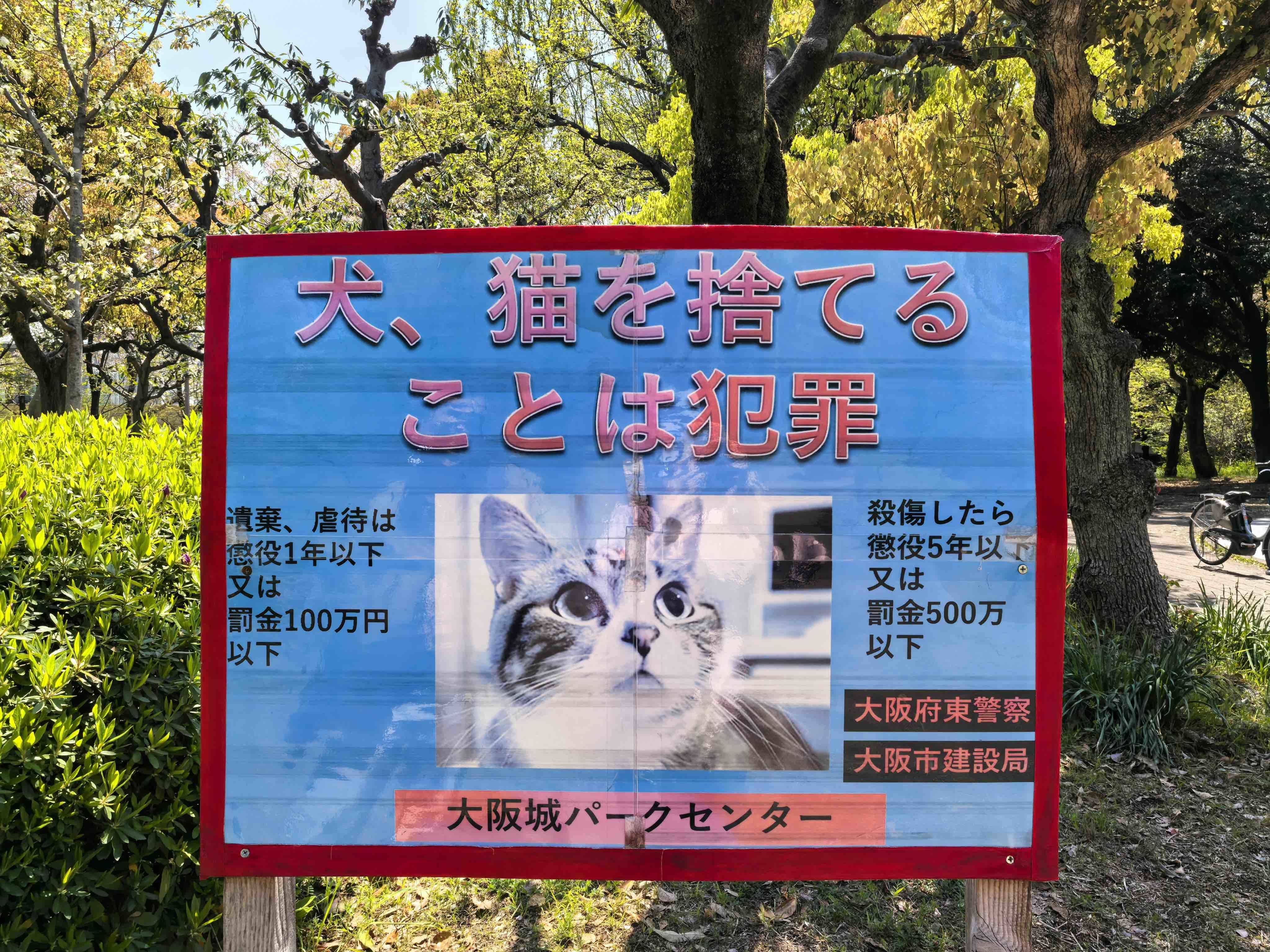大华老豆