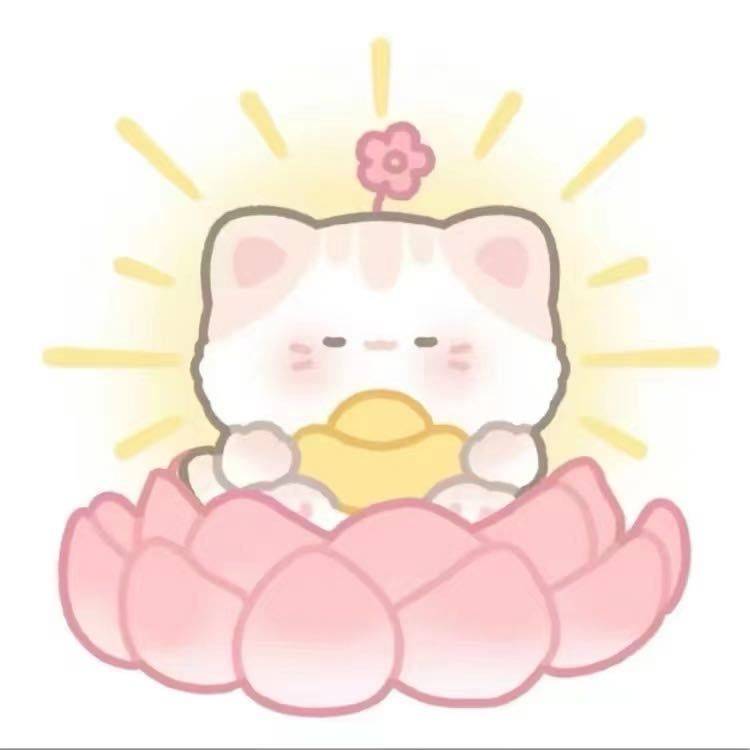 豆豆
