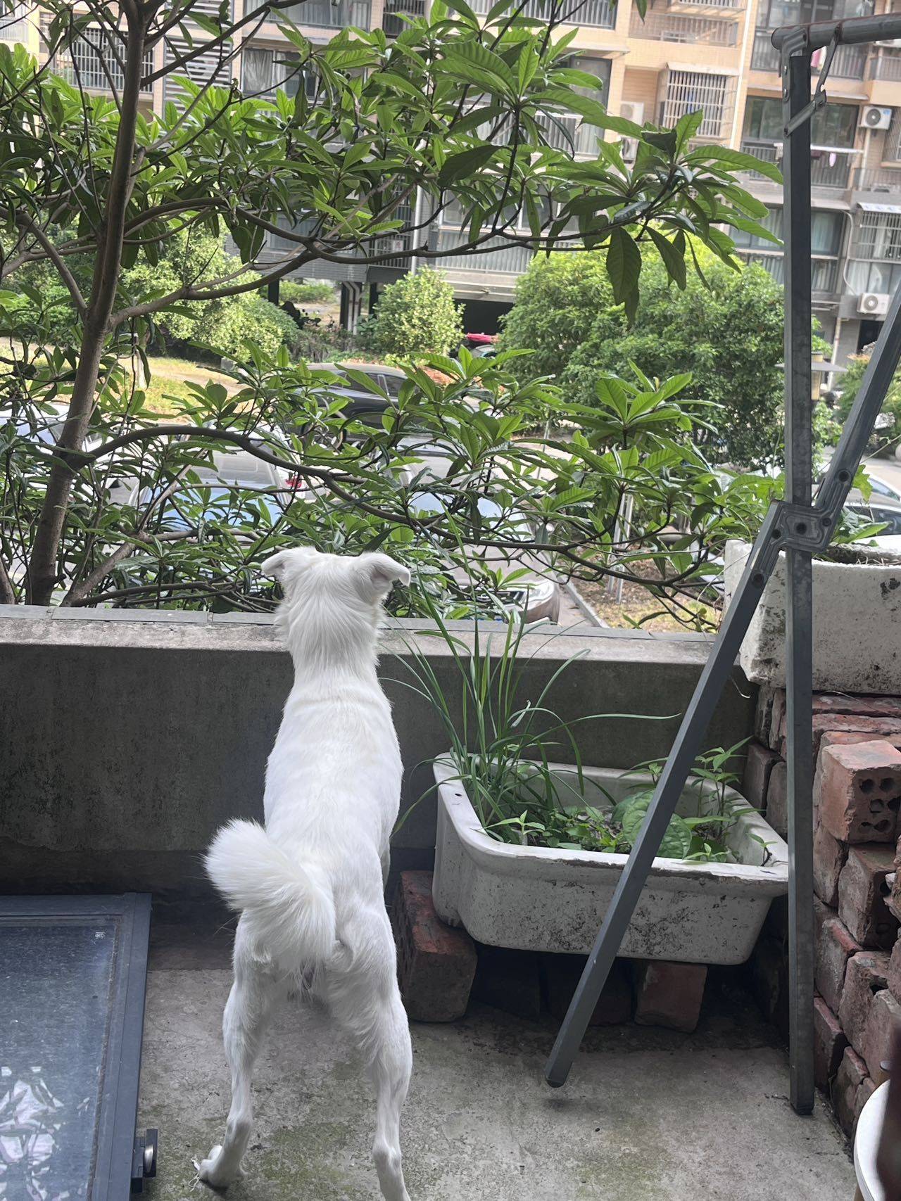 不将就.