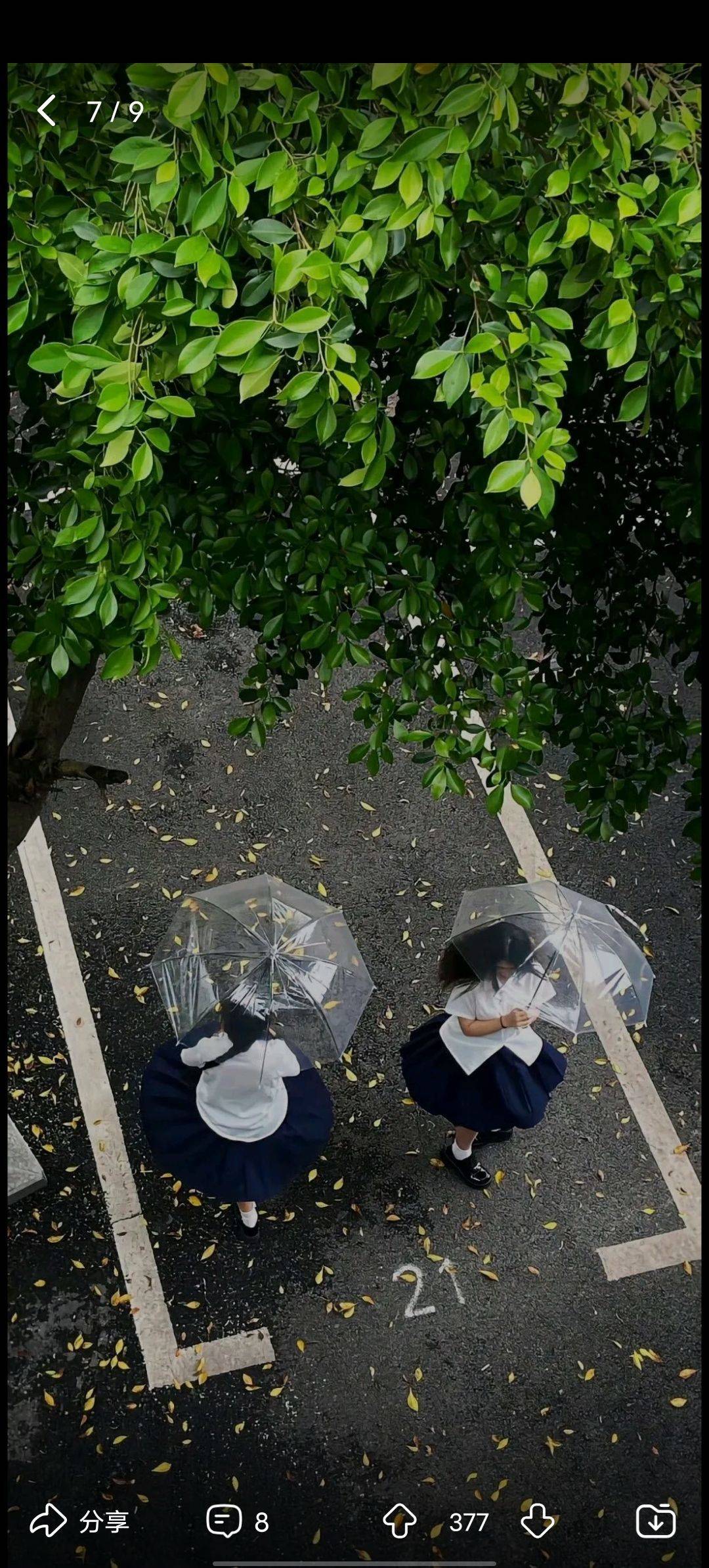 。