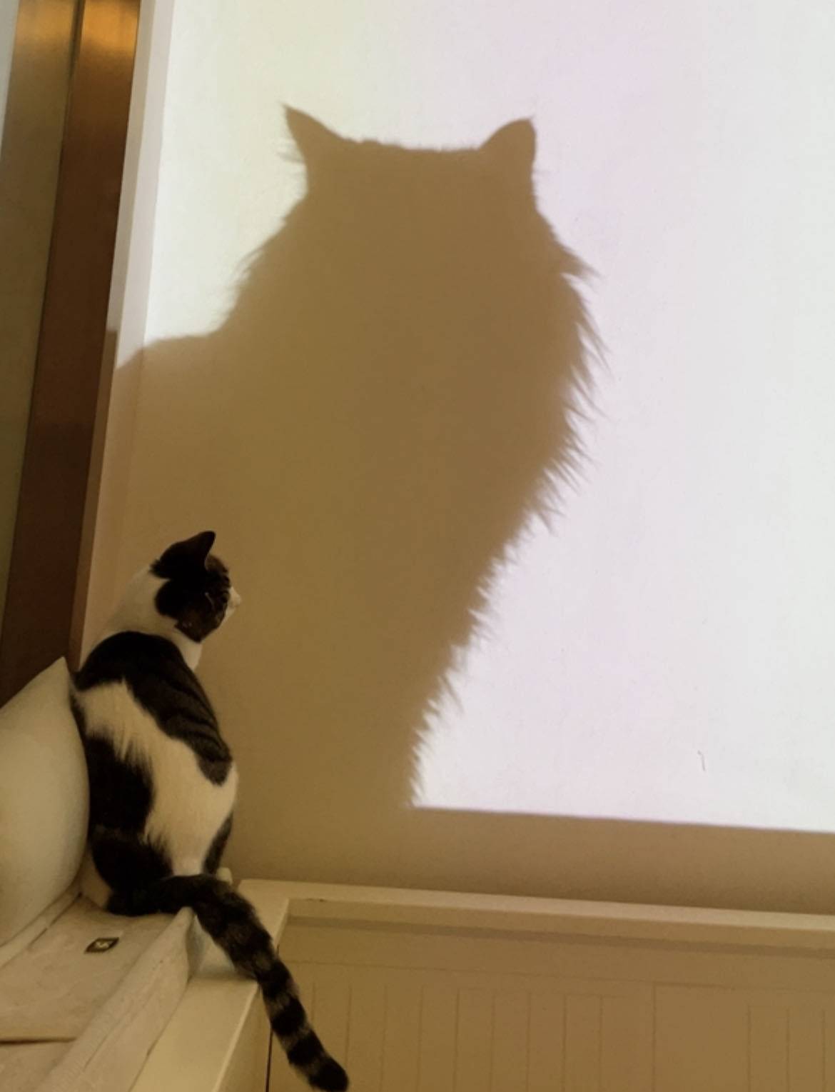 花᳐生᳐麻麻੭ﾞ