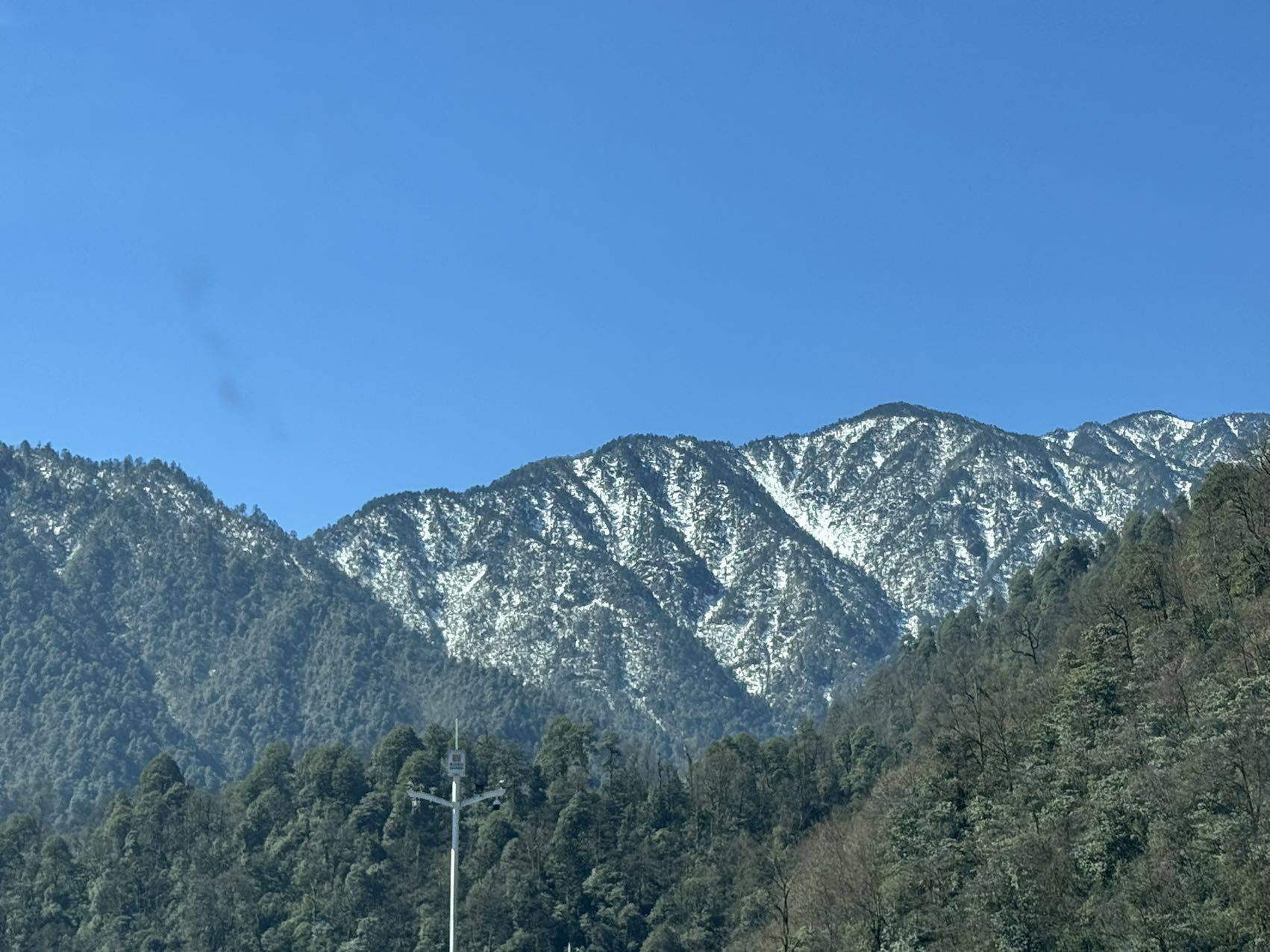 frost