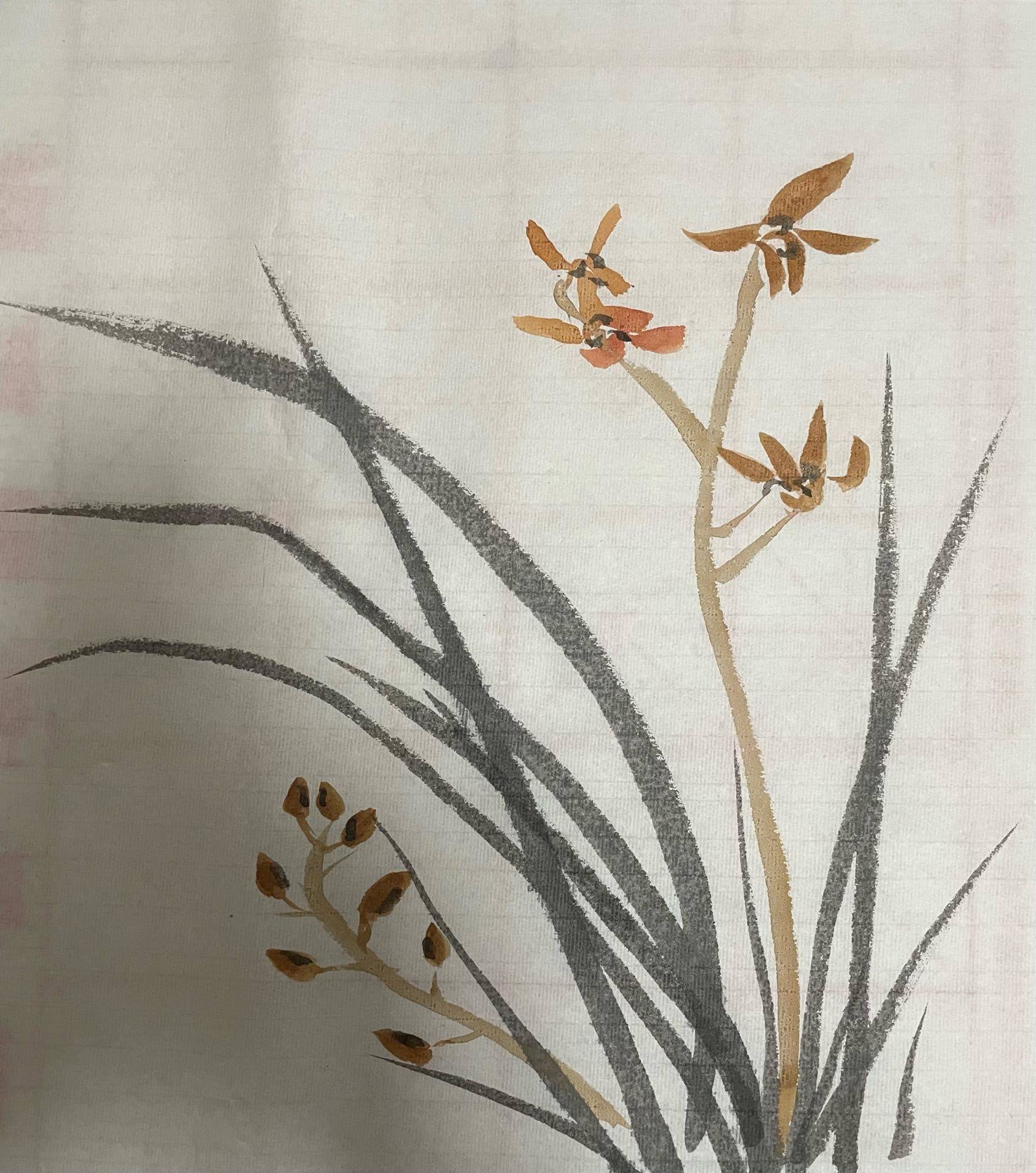 虹