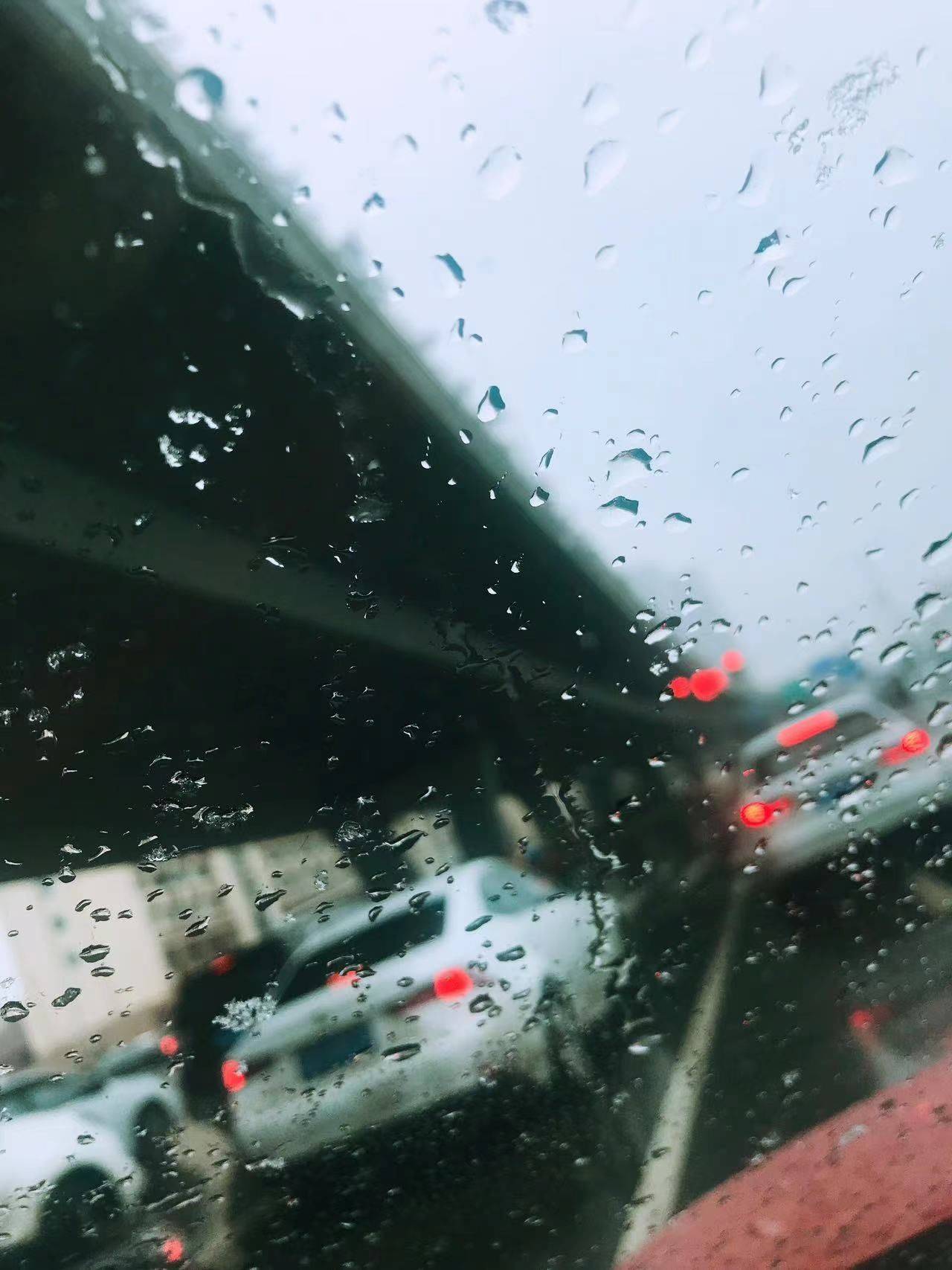 杨眉