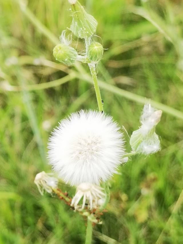 坠入生活的慢节奏