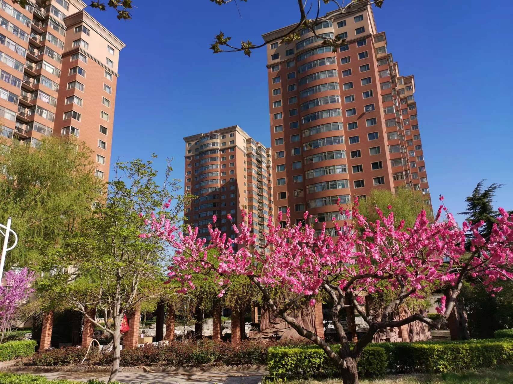 柳暗花明