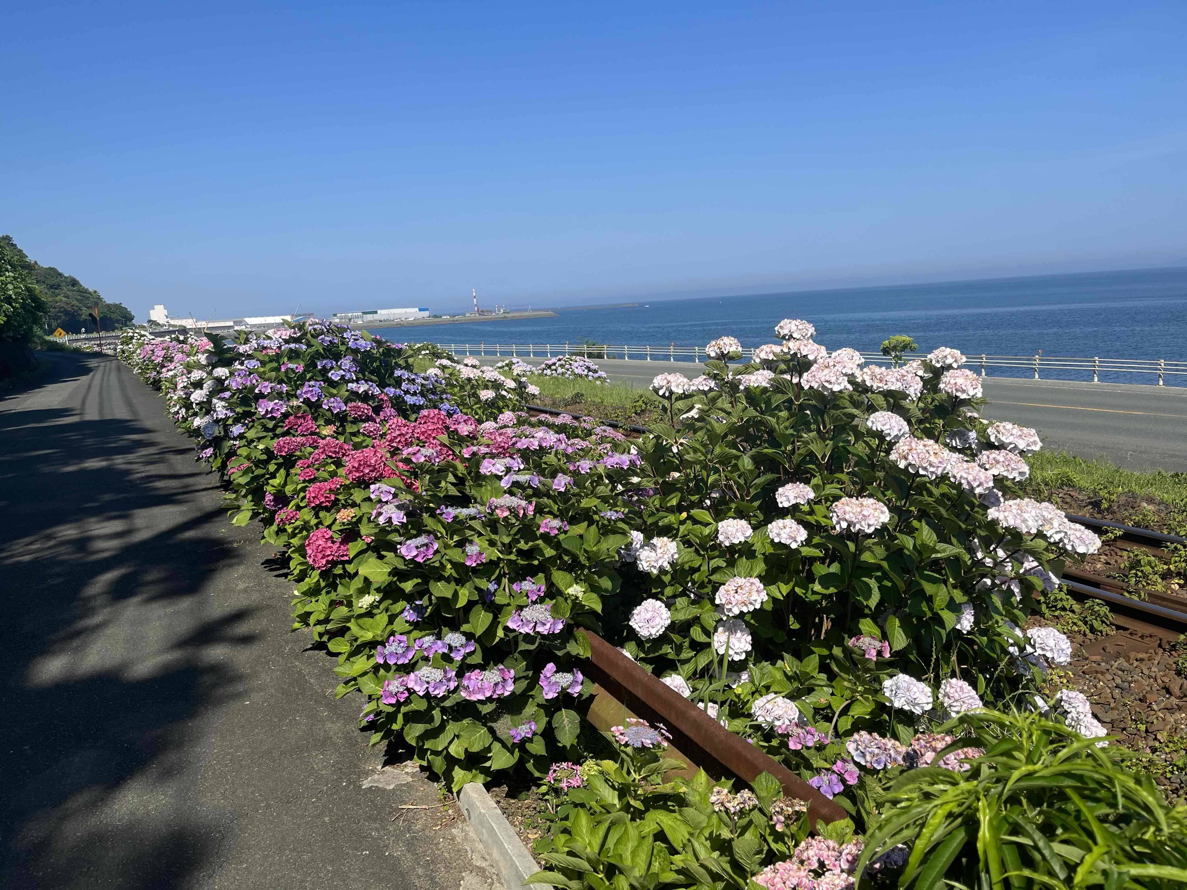 life_photo_2