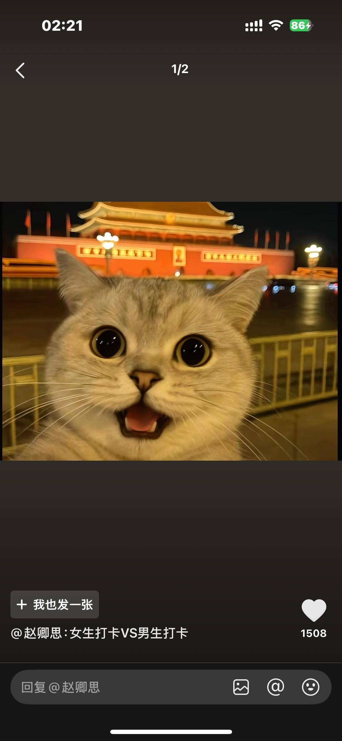 小样儿