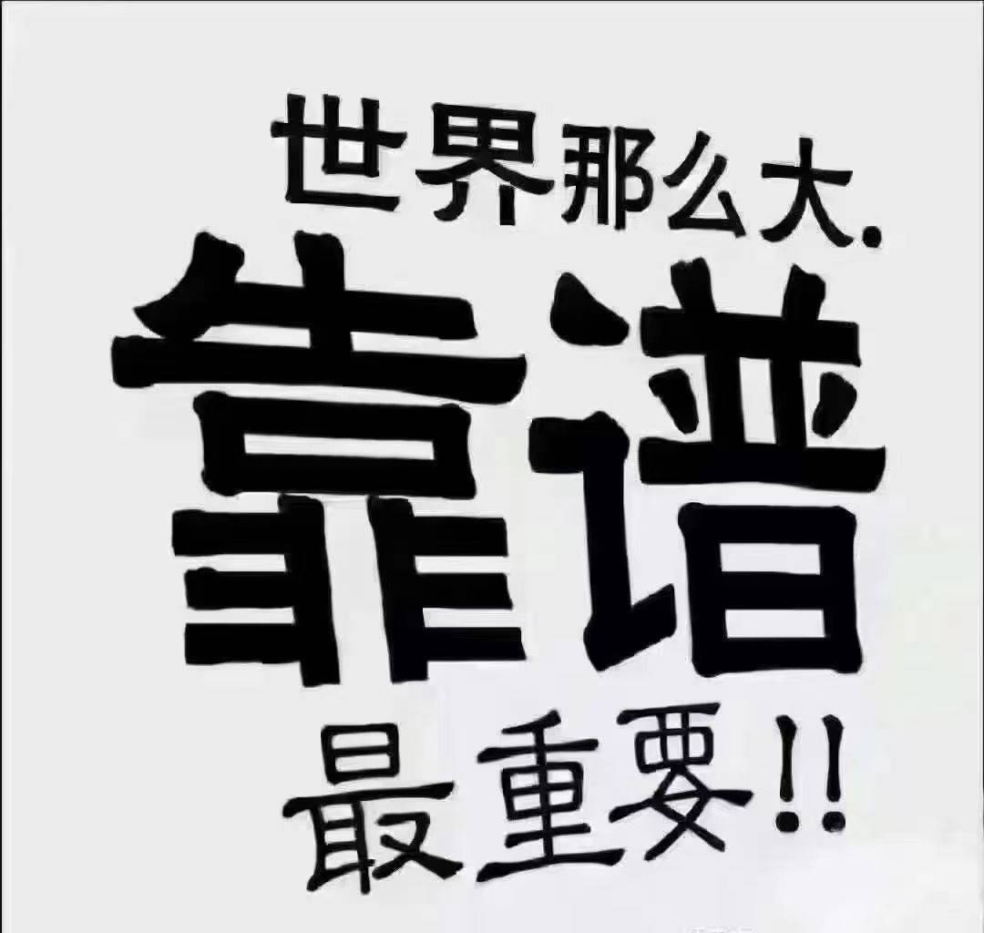 松果的夏天