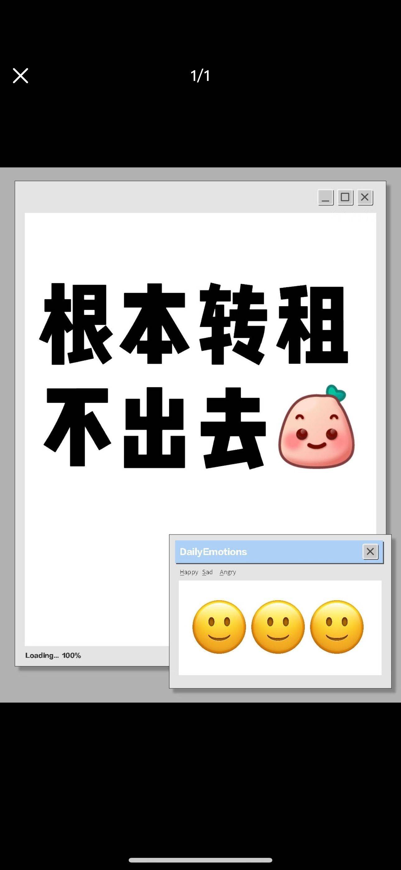 菜菜