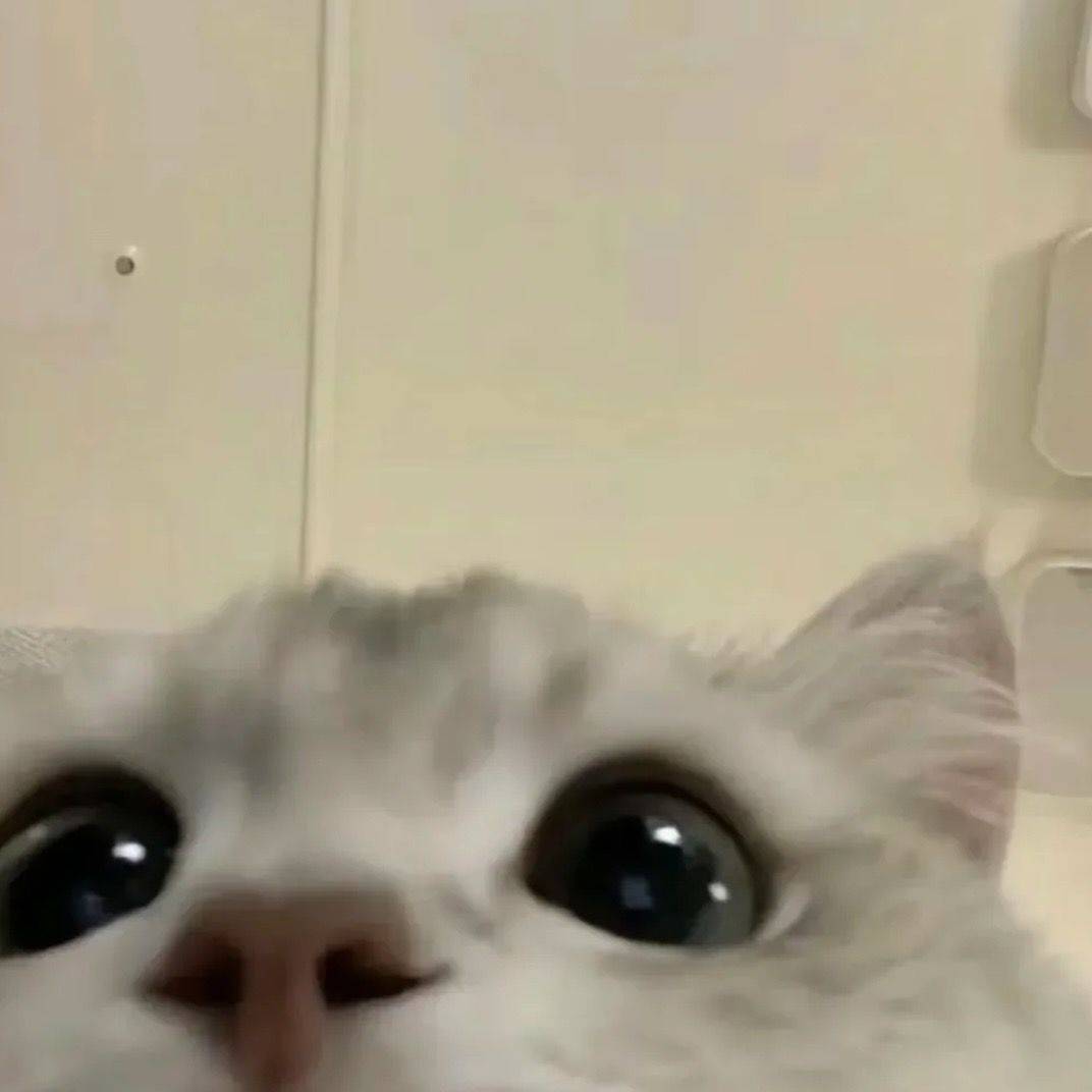 96