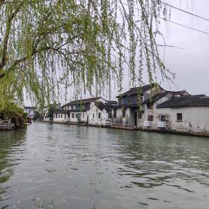 落叶