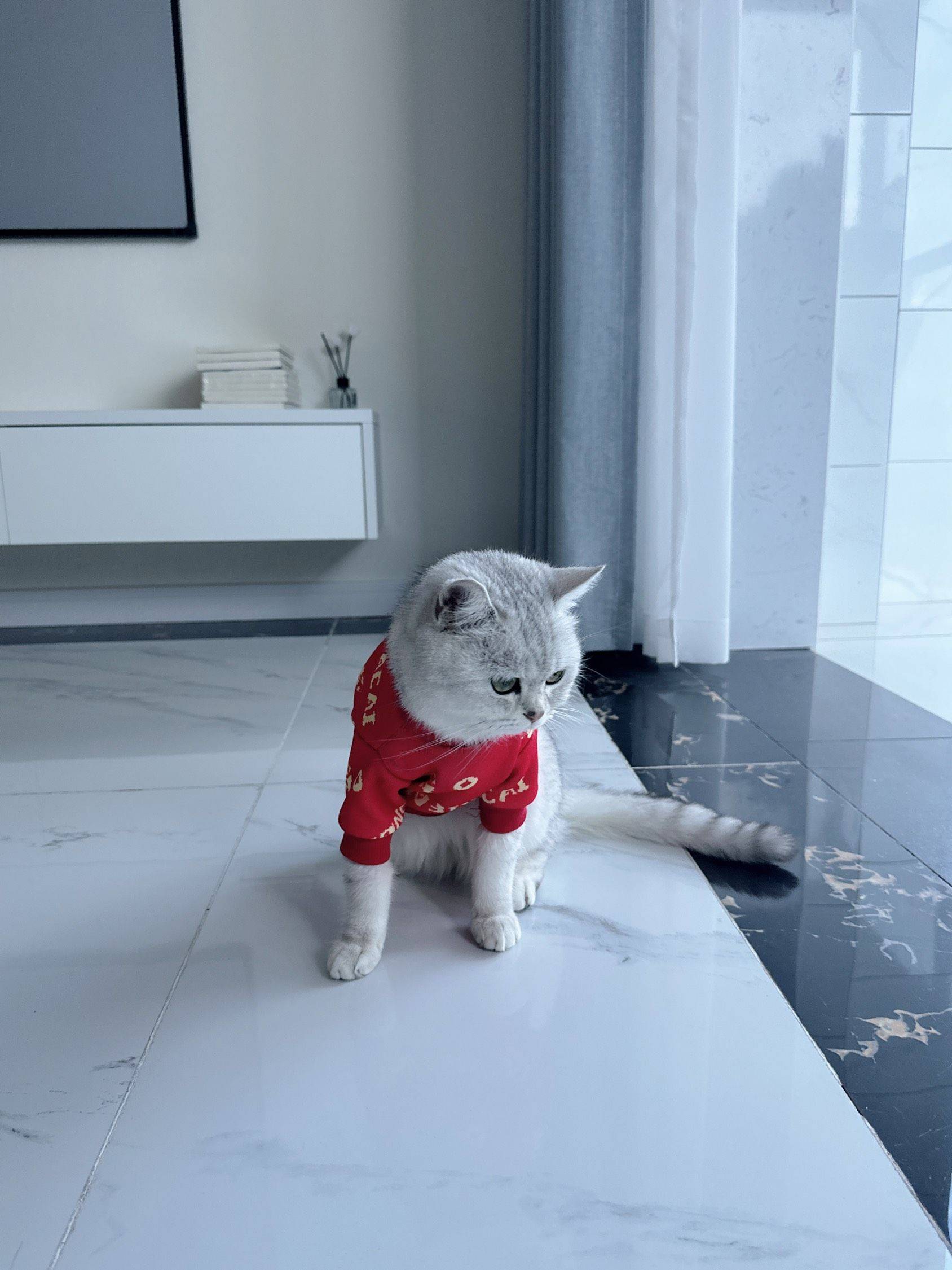 我会发光你会笑