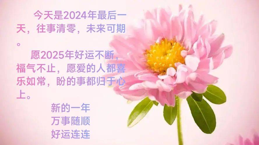菁悦