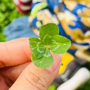 Lucky