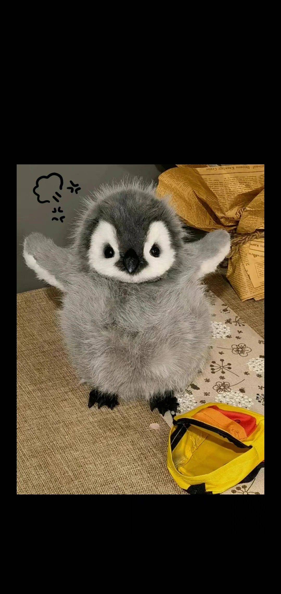 jjjj