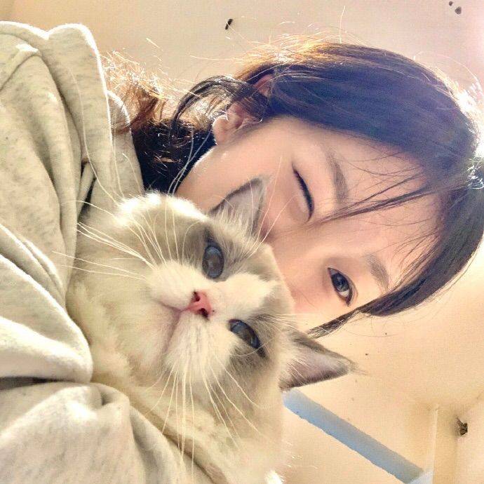 苹果