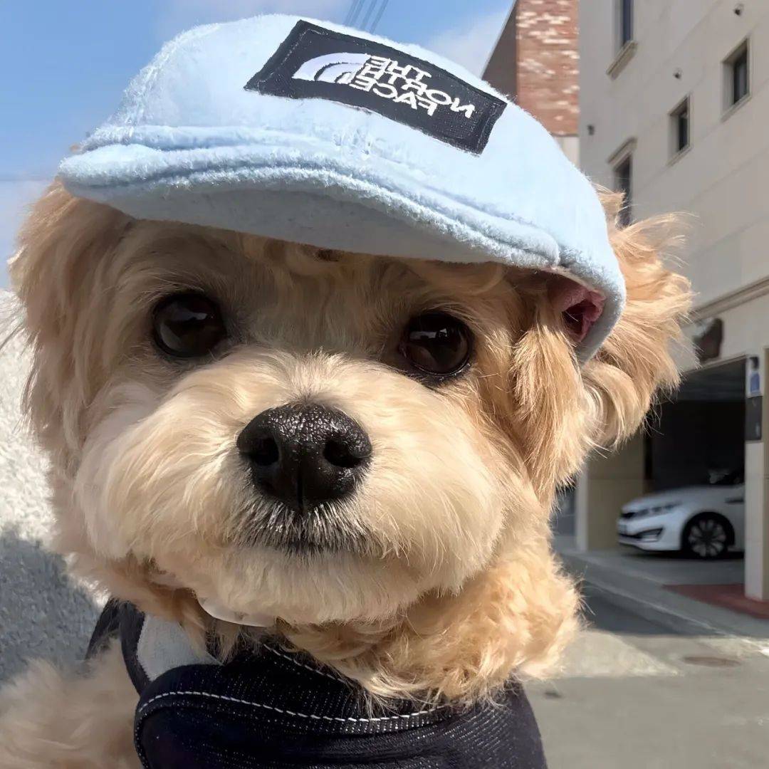 🧊