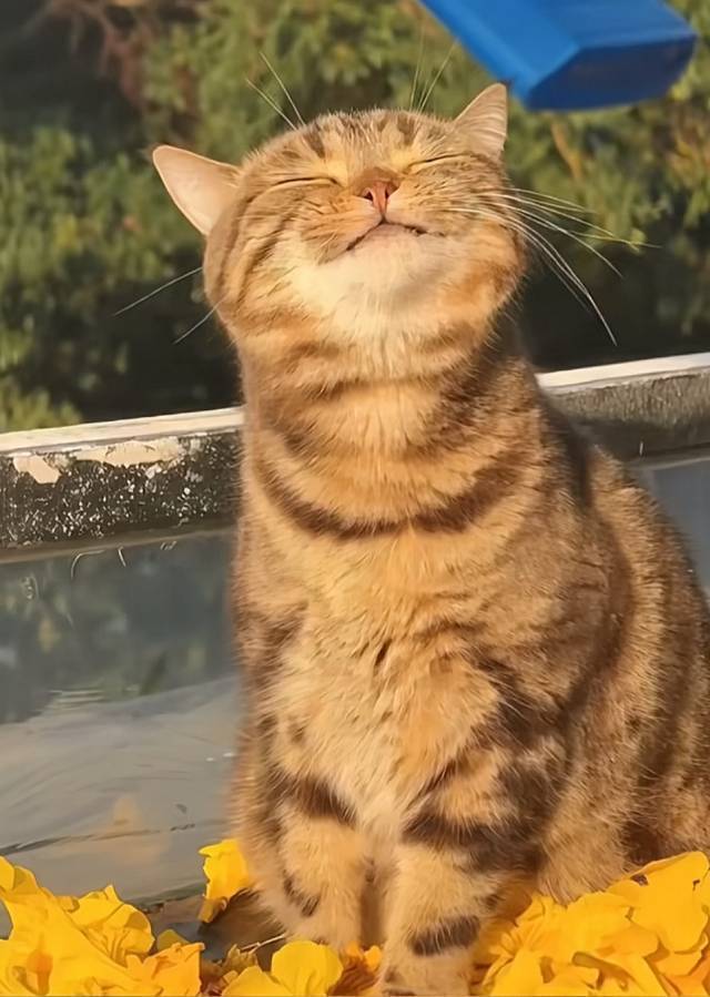 。