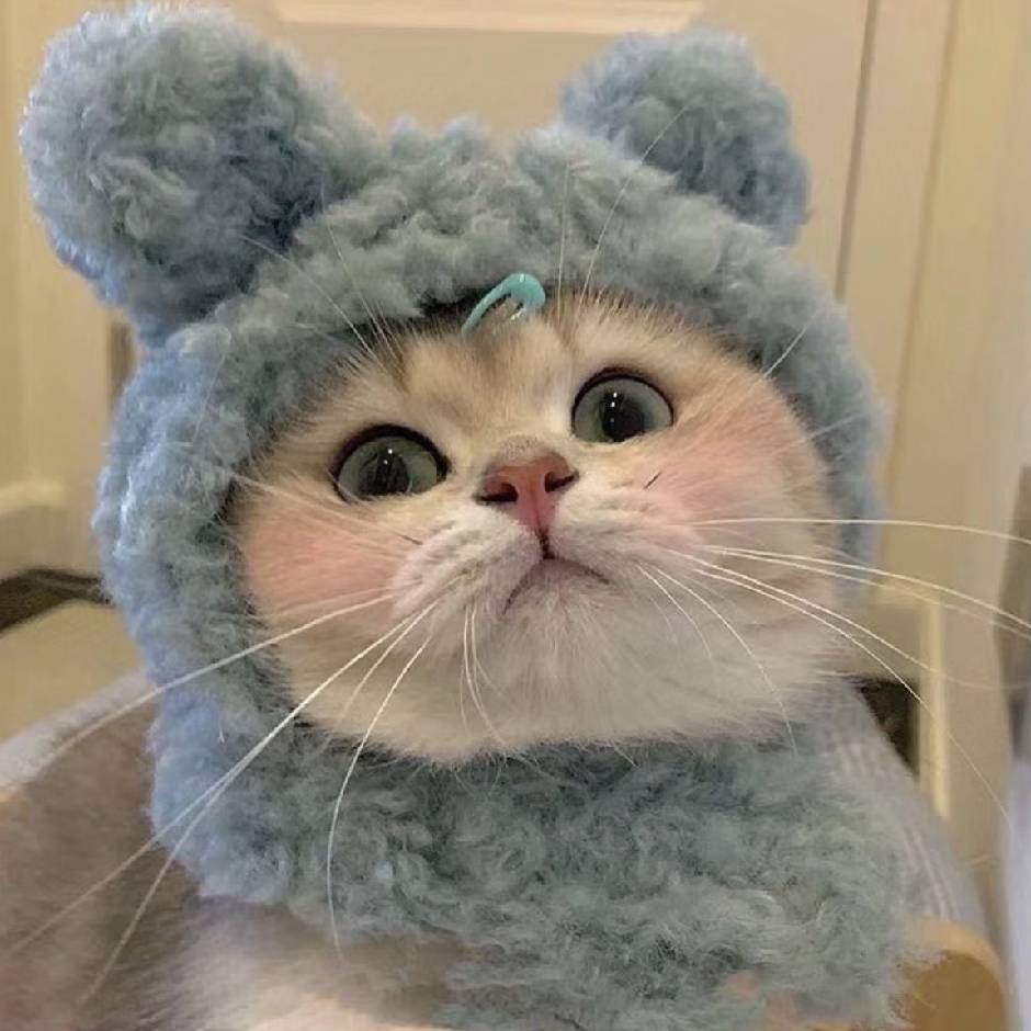 橘