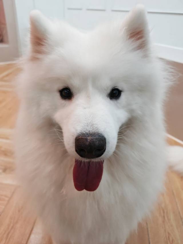 。