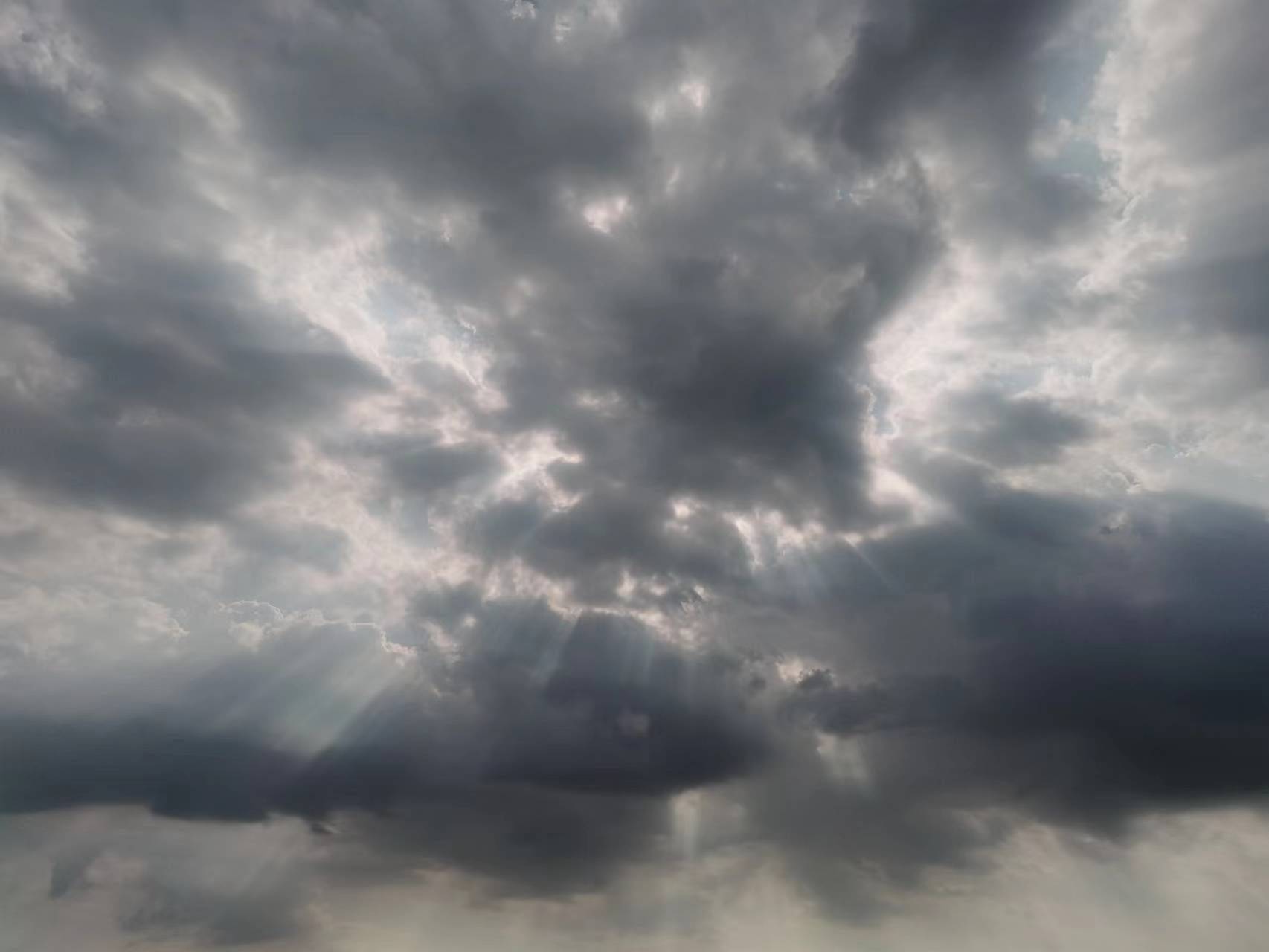 life_photo_4