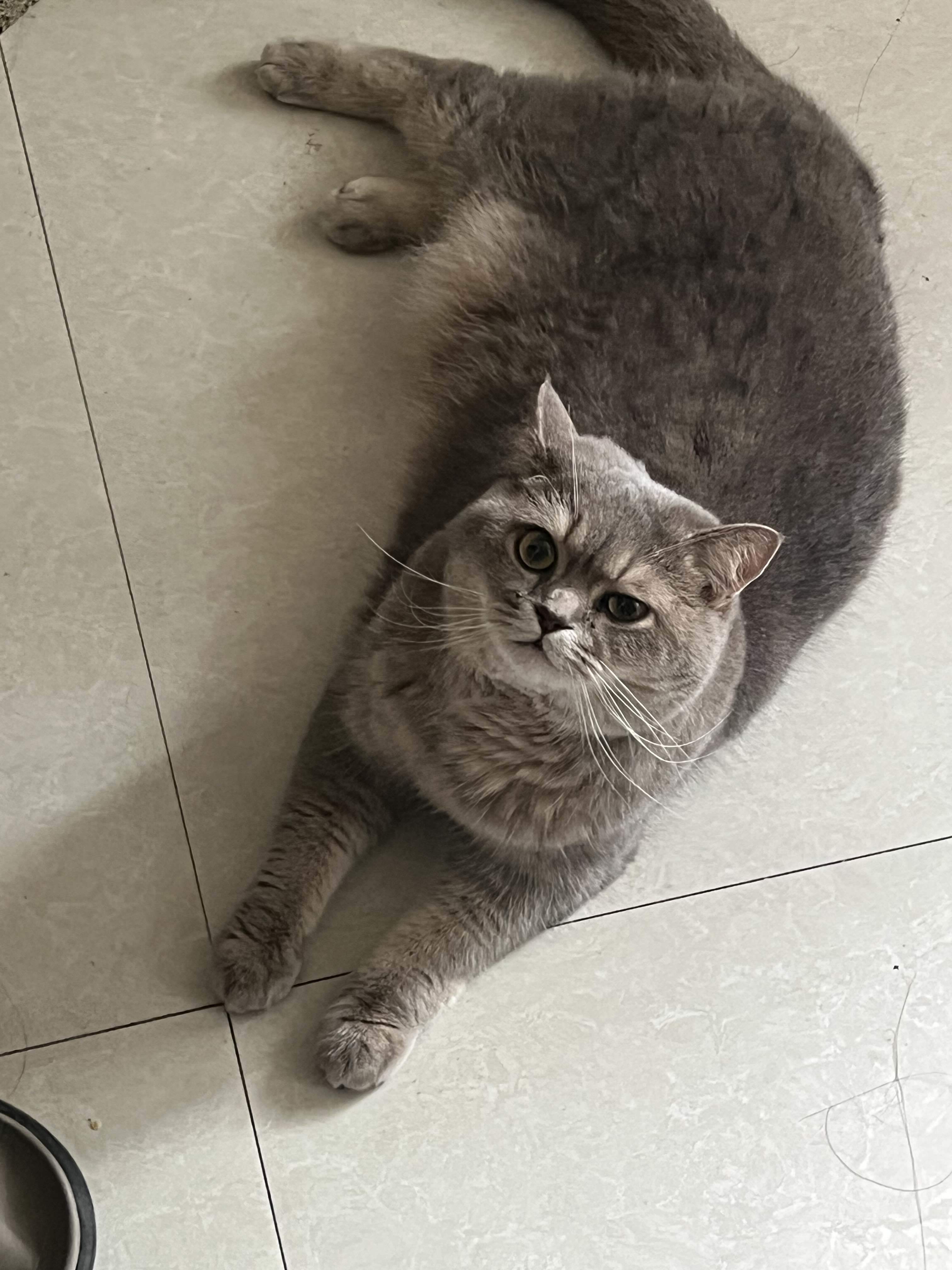 红中