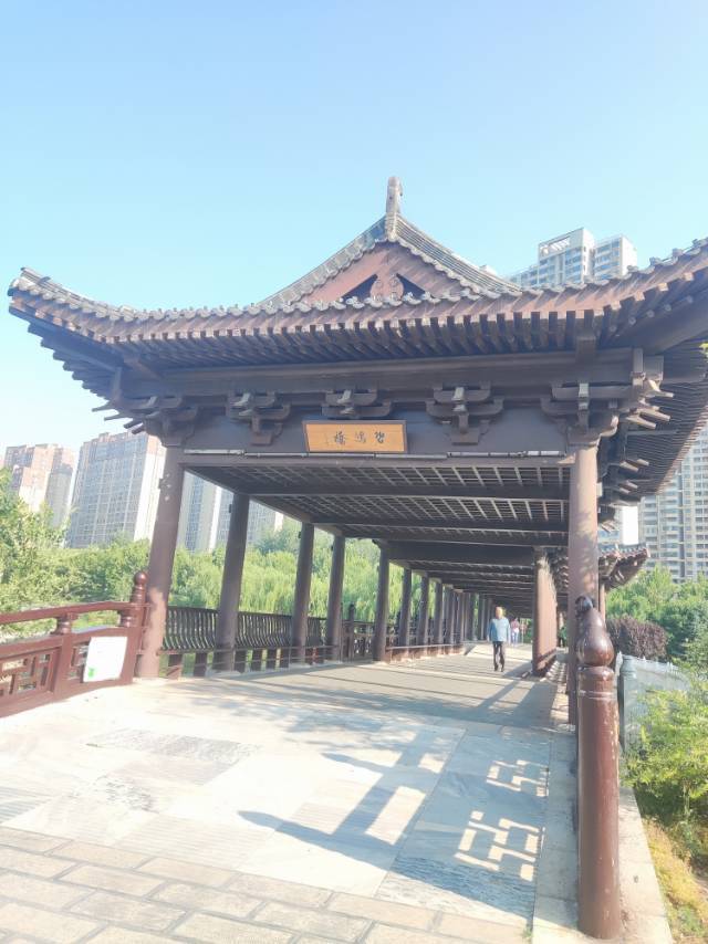 life_photo_0