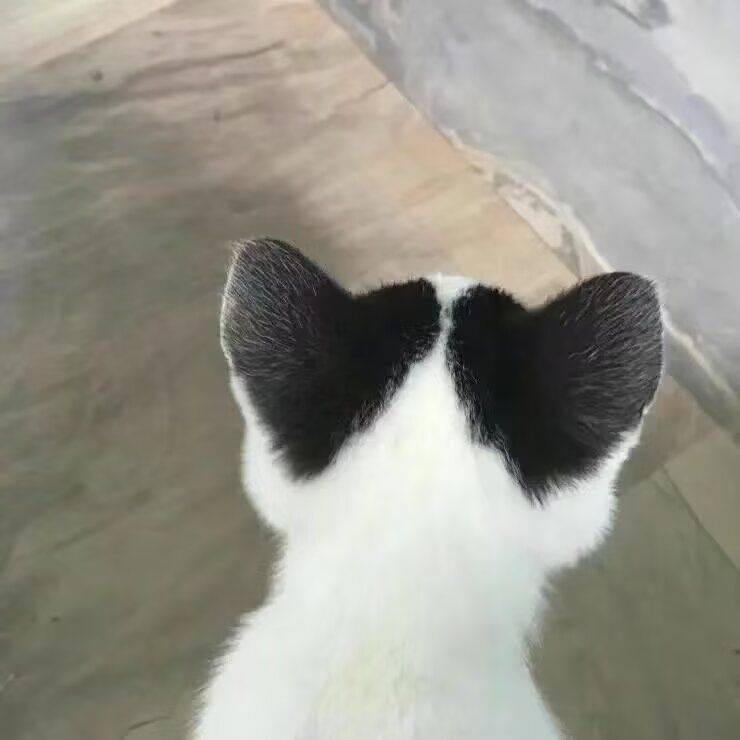 🥛