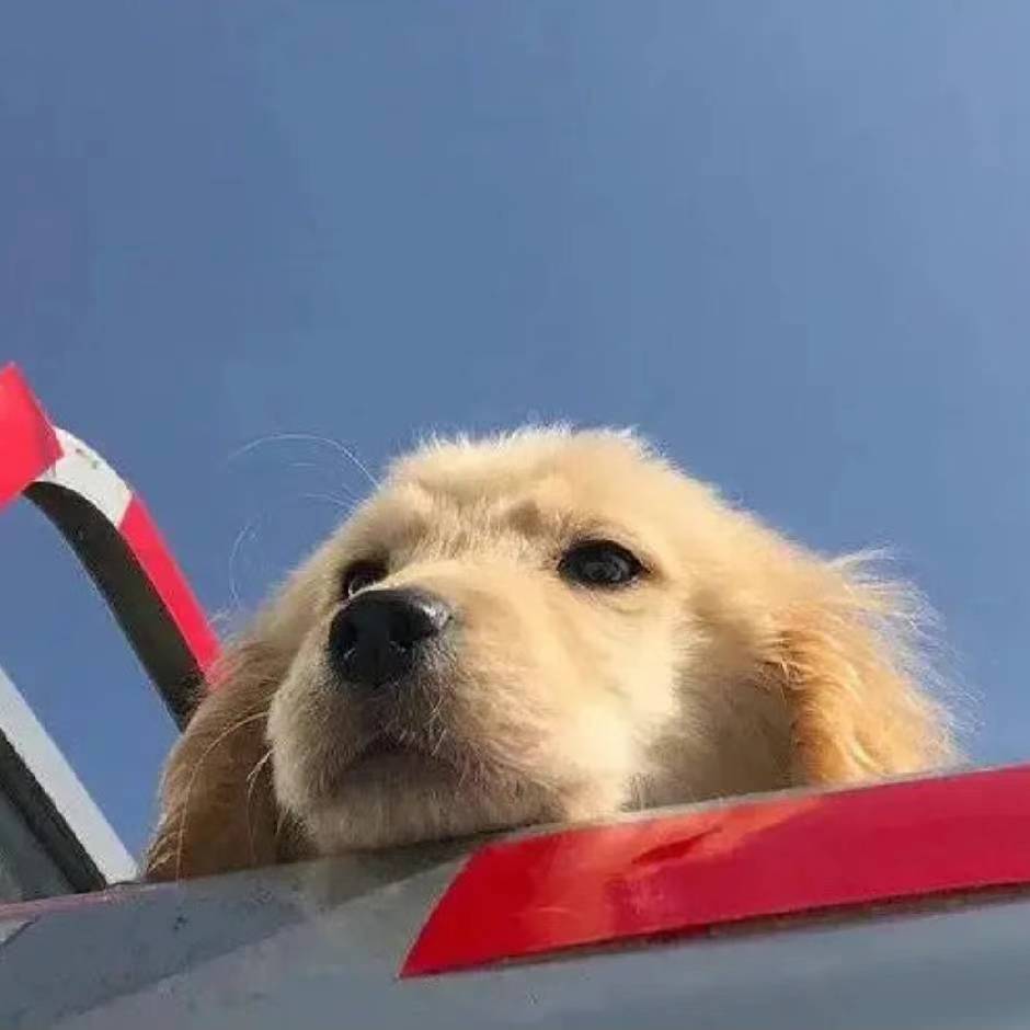 你今天做到开心了吗