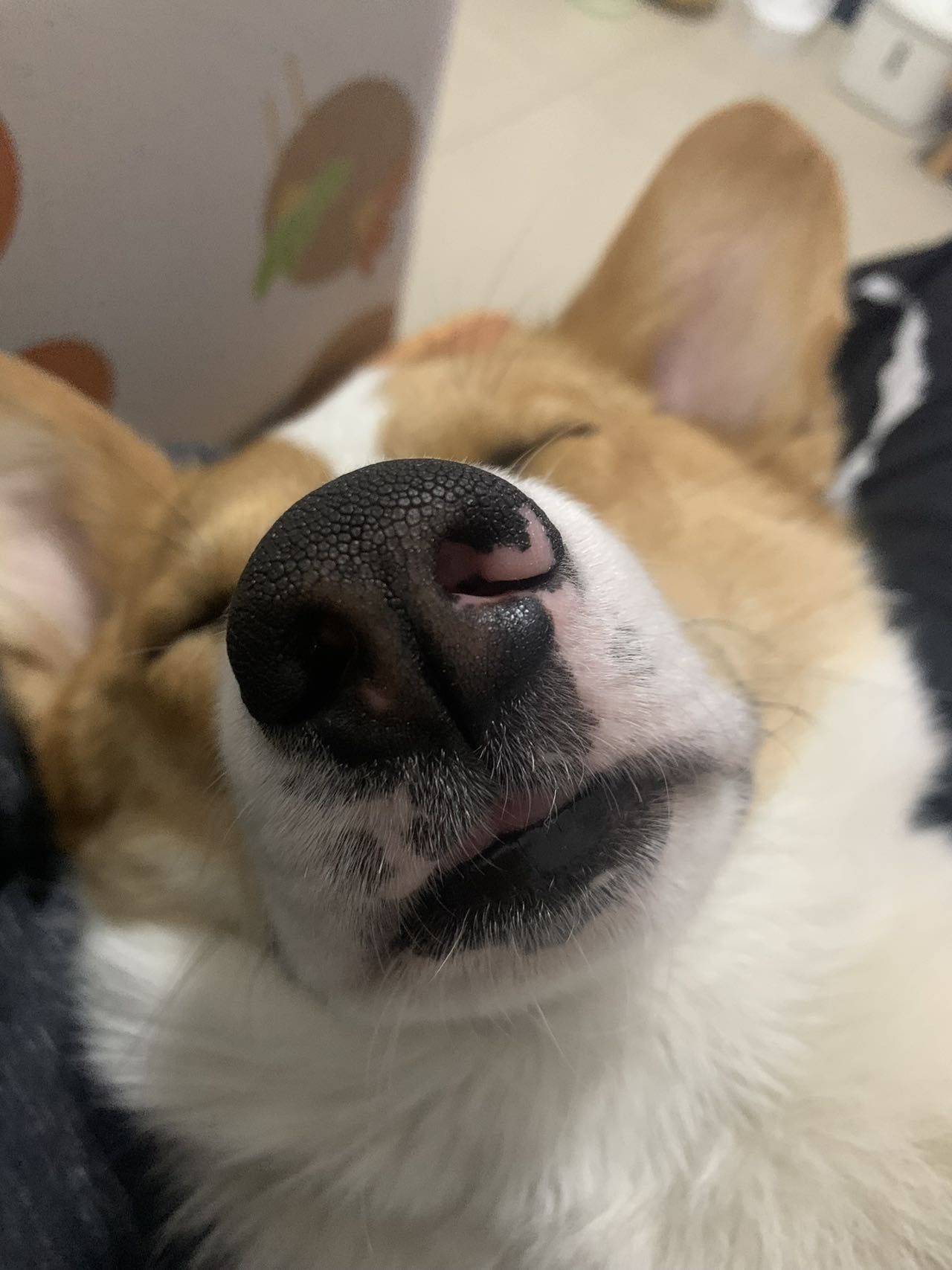 闲落