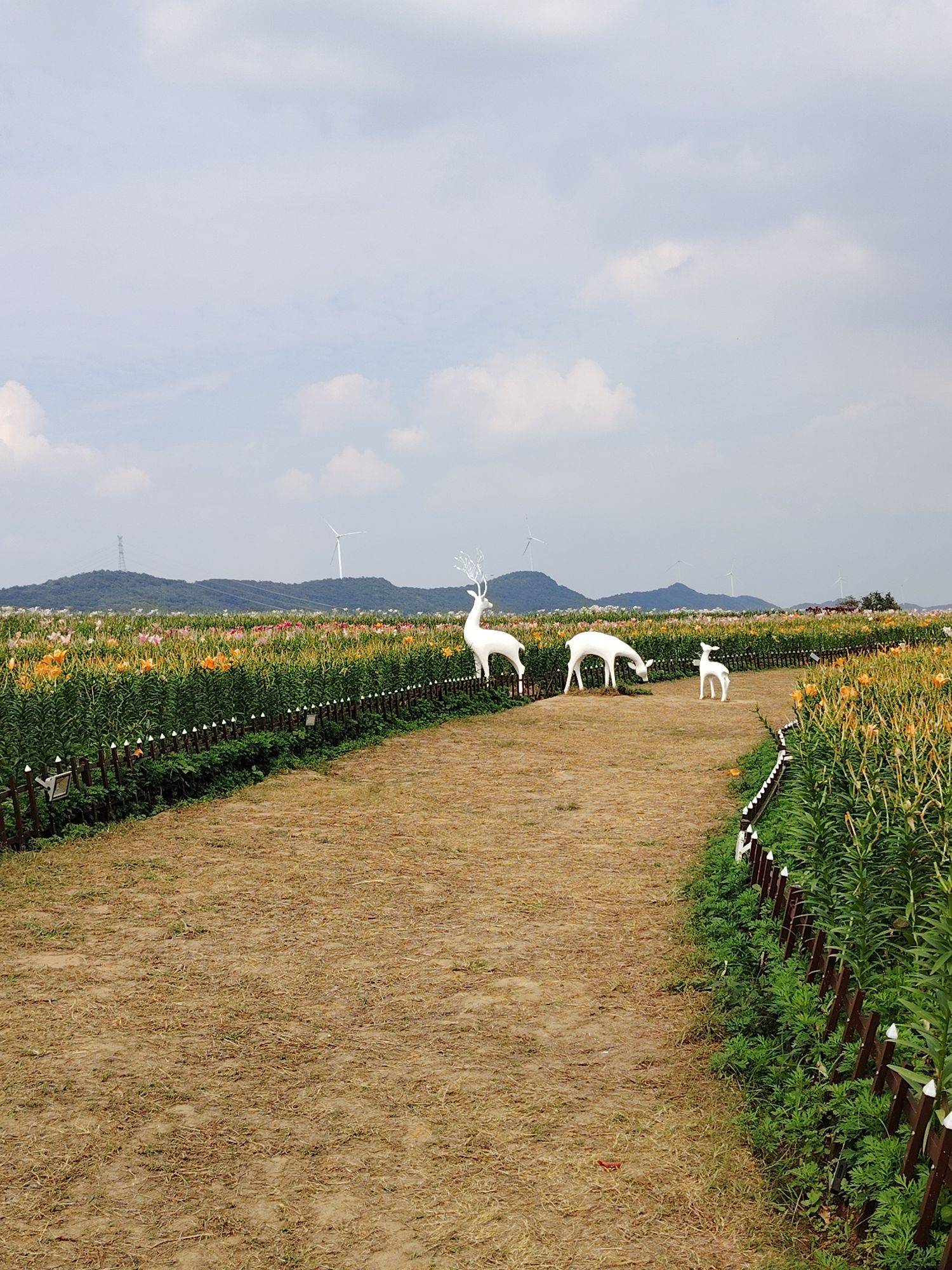 来Wellcee第一天！