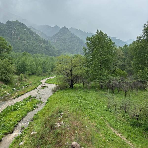 aaa