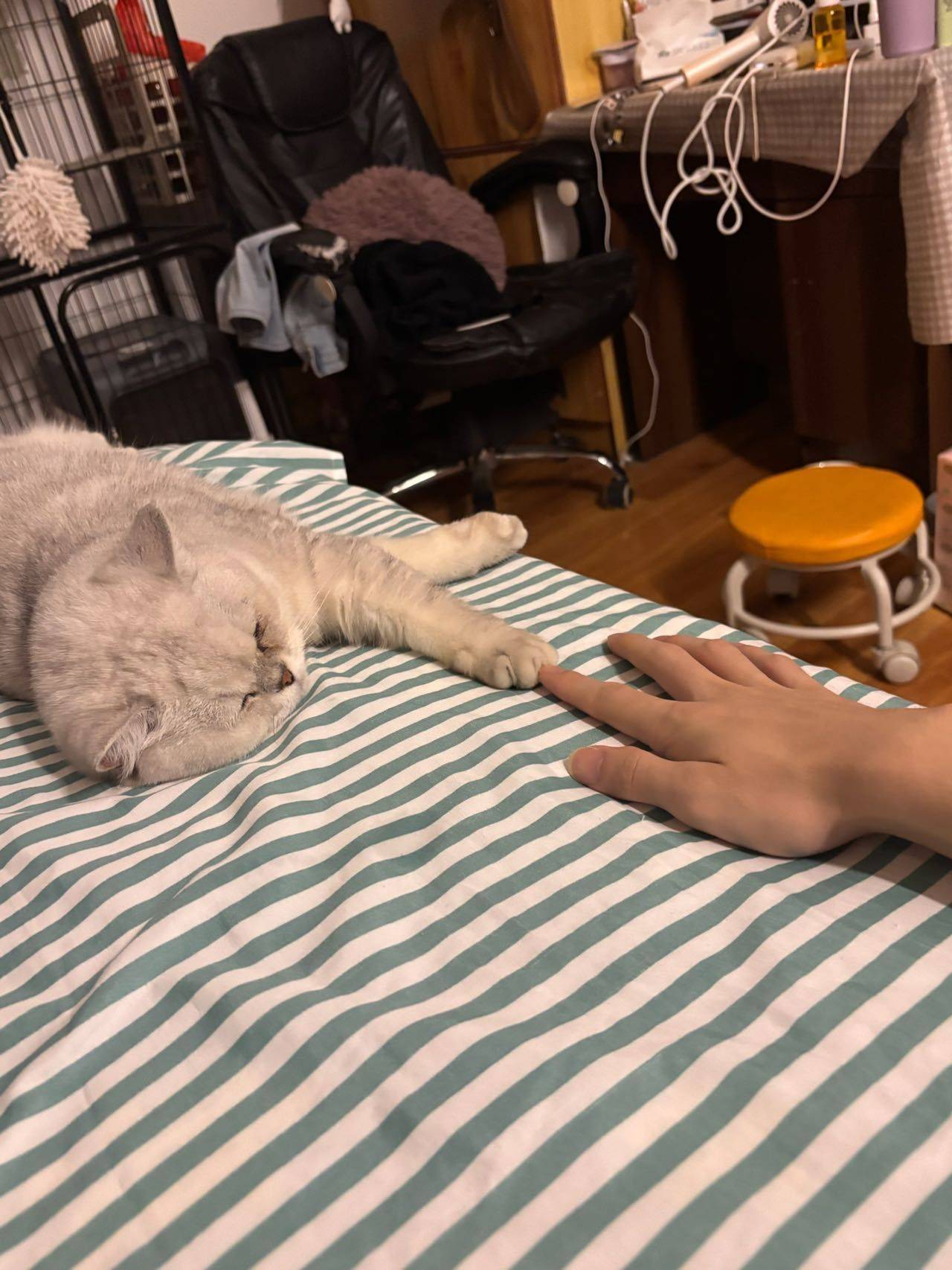 小怪