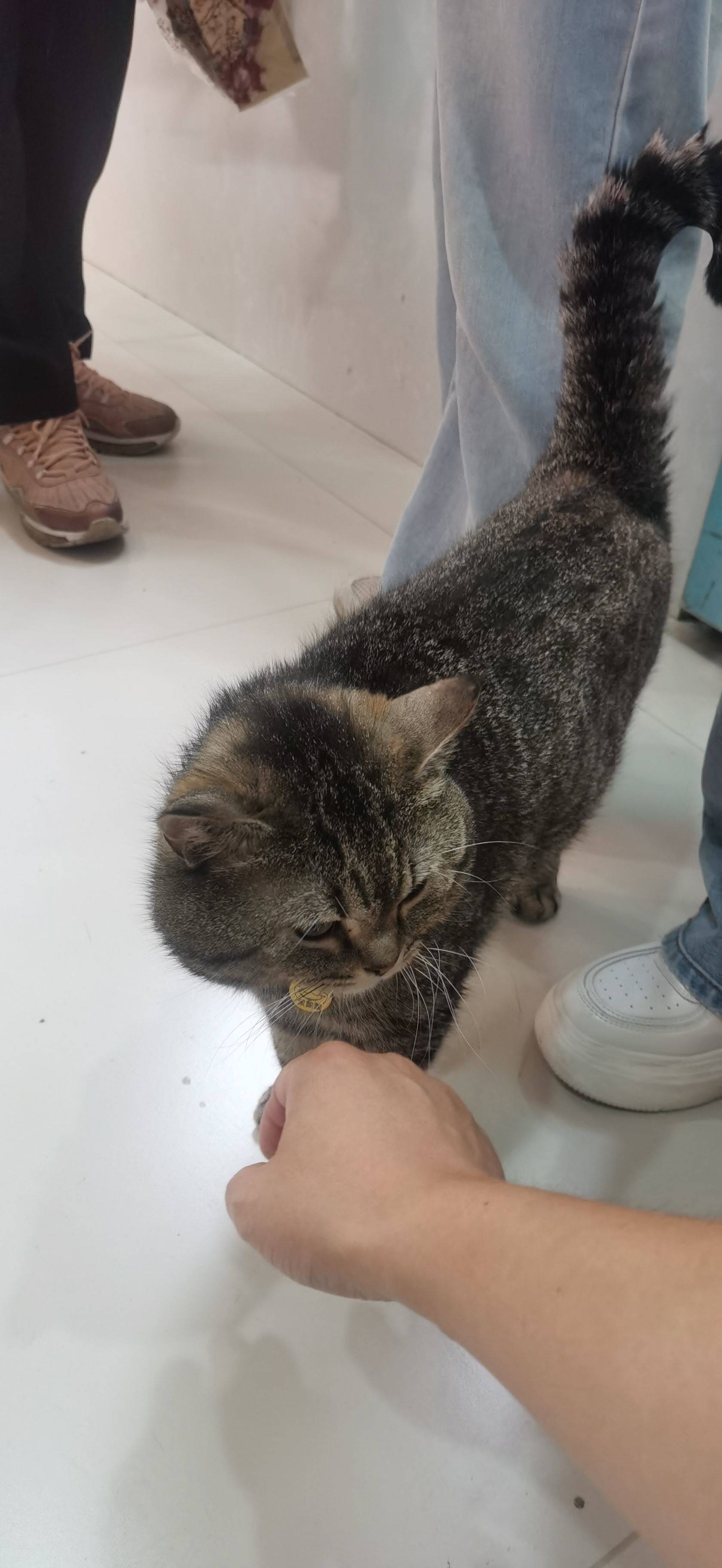 房东本人出租自己房子