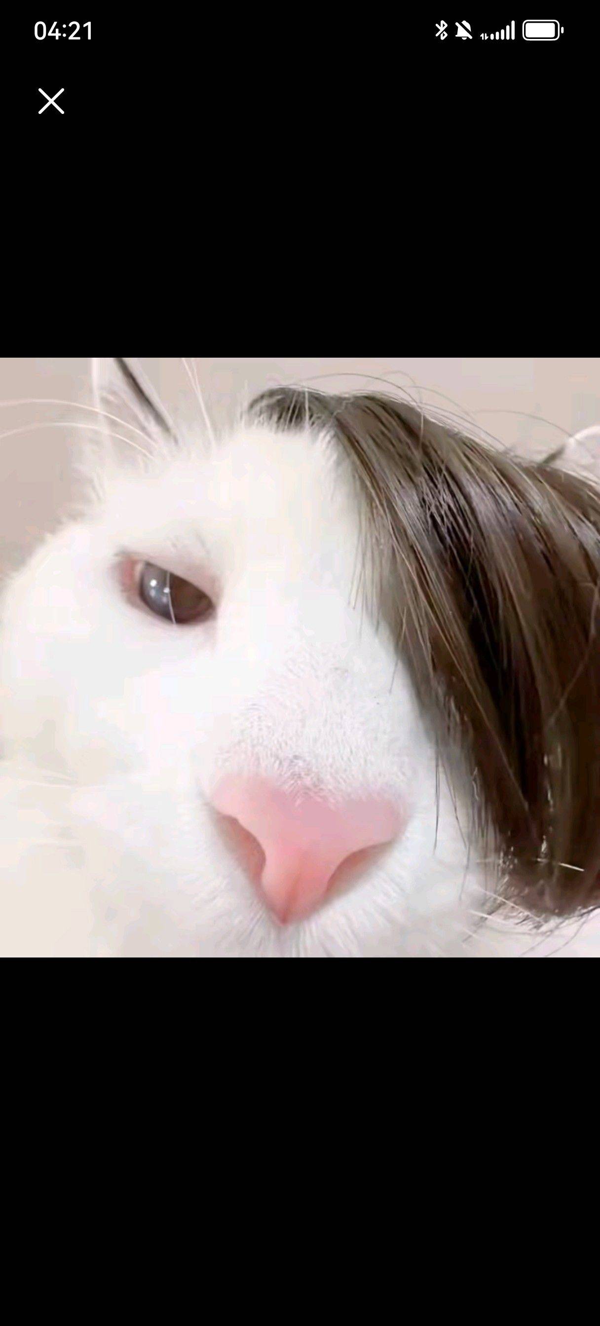 我不是骗子也不是中介