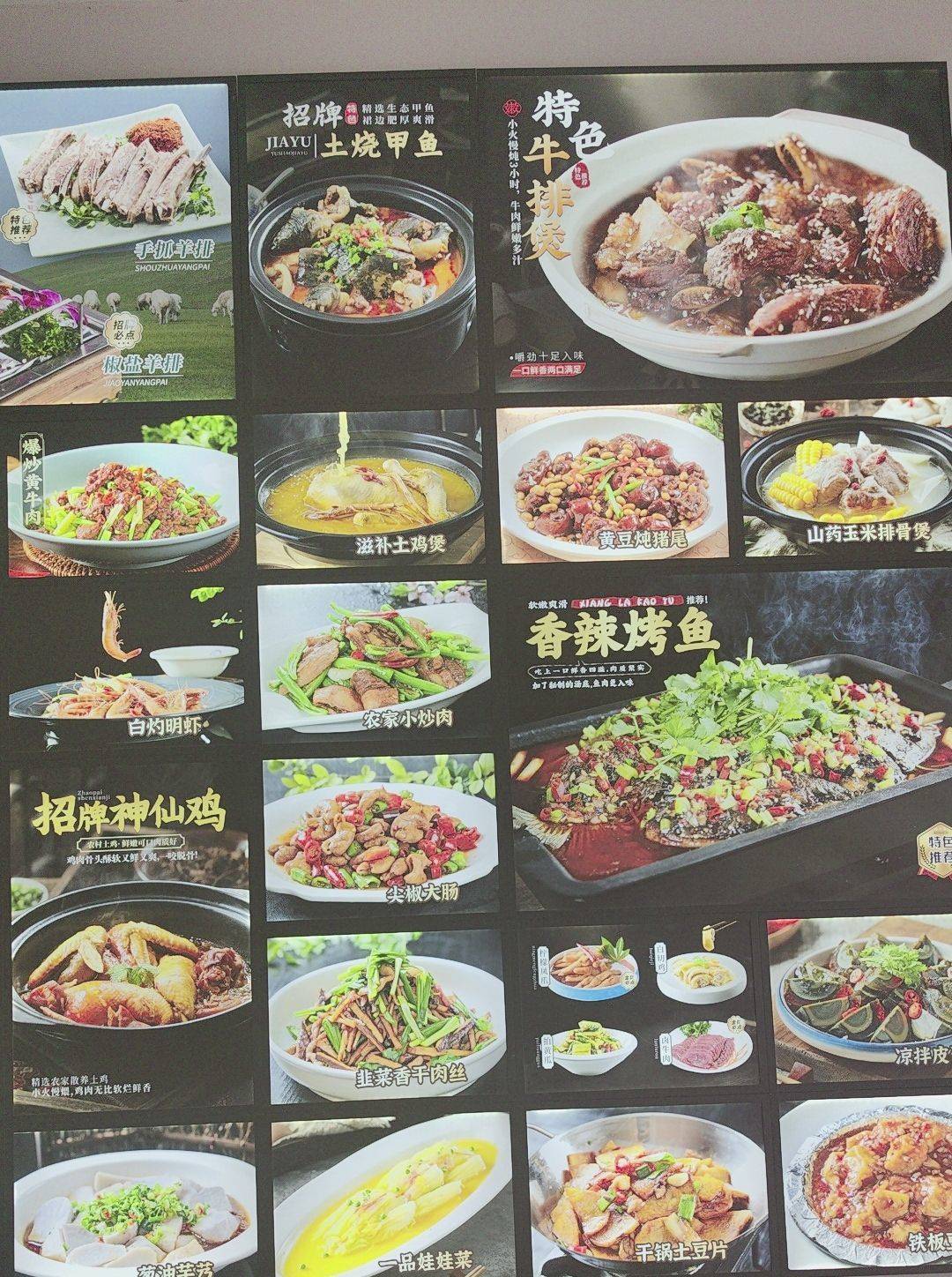杰哥