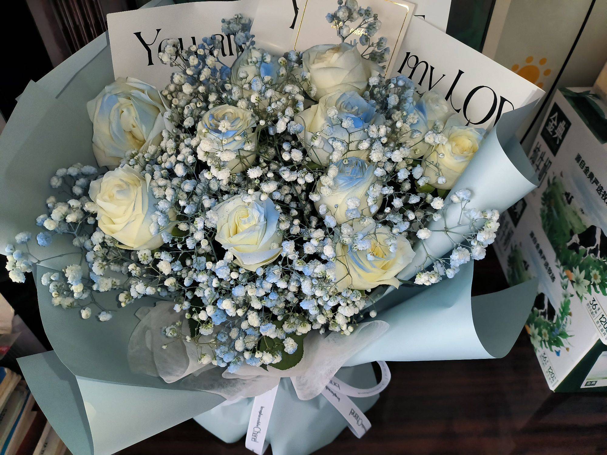 哆啦A梦家的蓝胖子