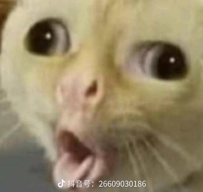 盏阳