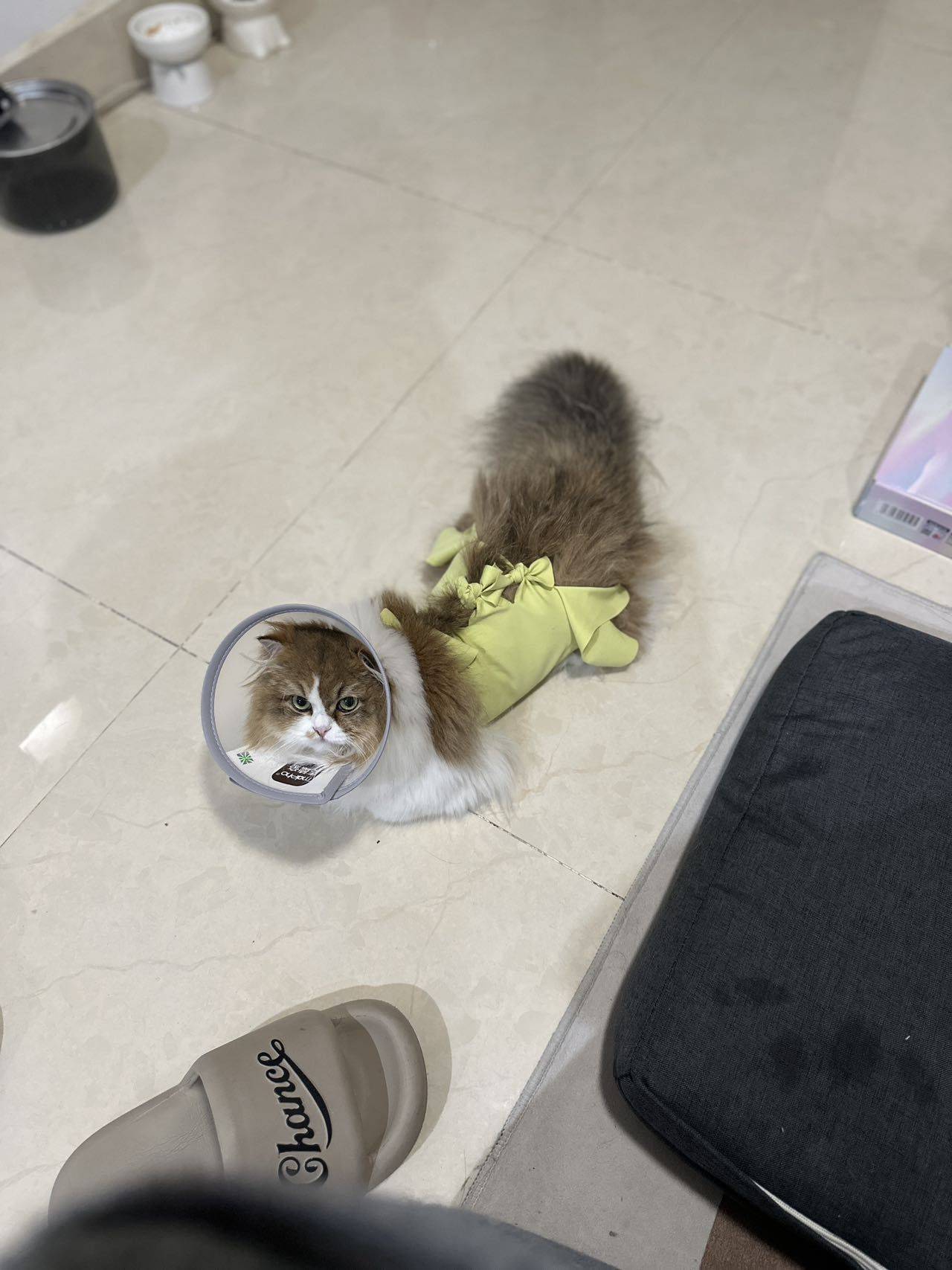 条条