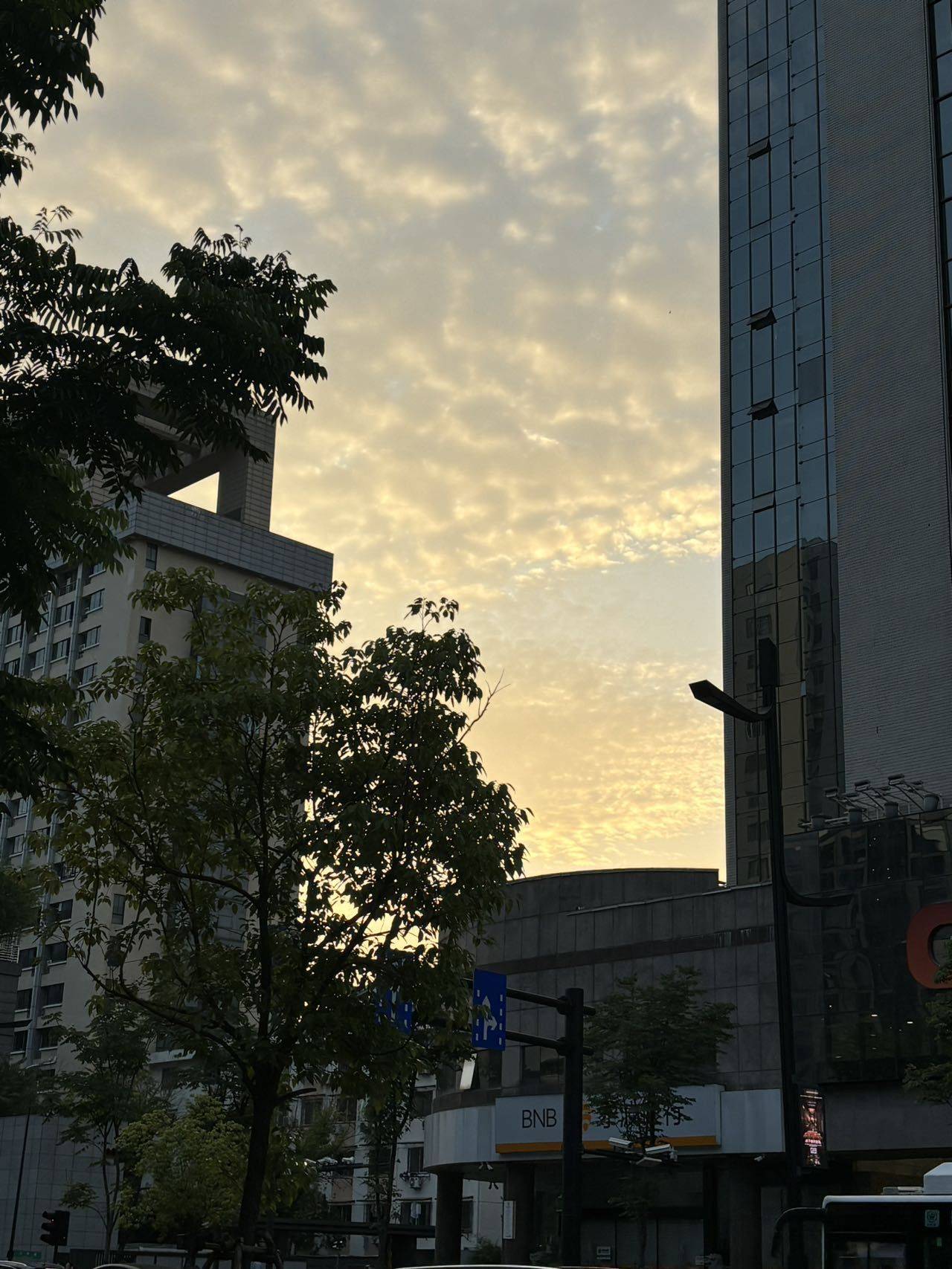 我是因为无聊.