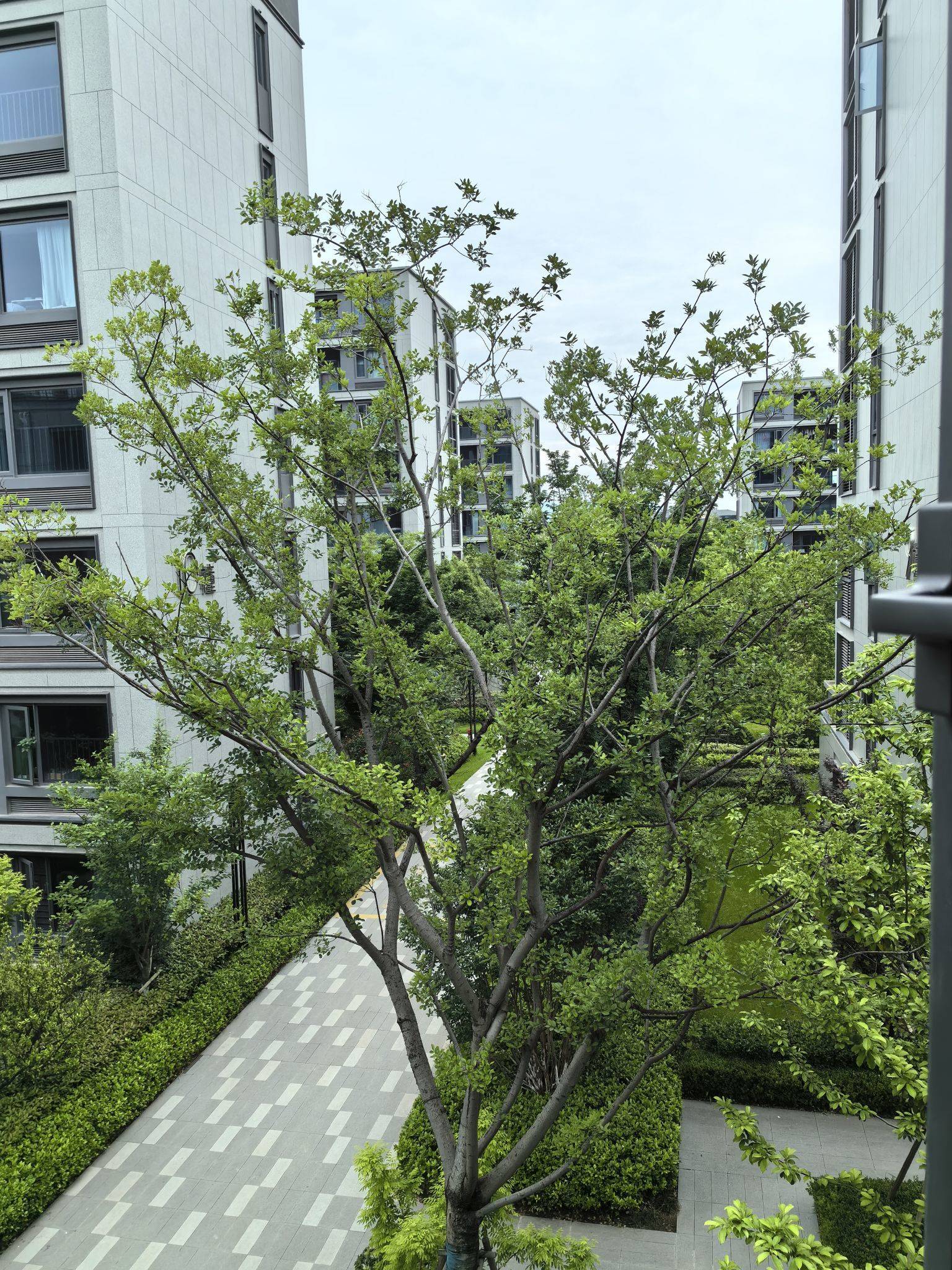 我听见日子翻页的声音