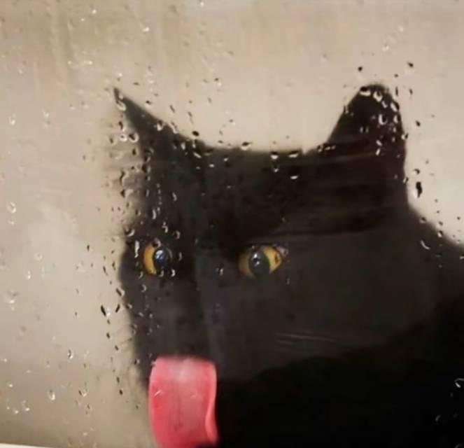 雷欧
