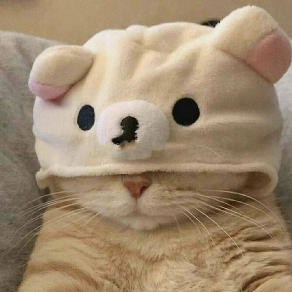 cqqqqq